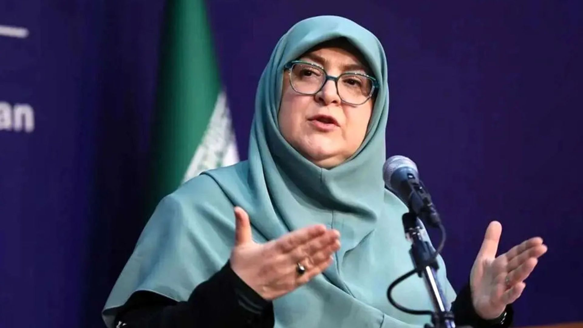 فاطمه مهاجرانی، سخنگوی دولت