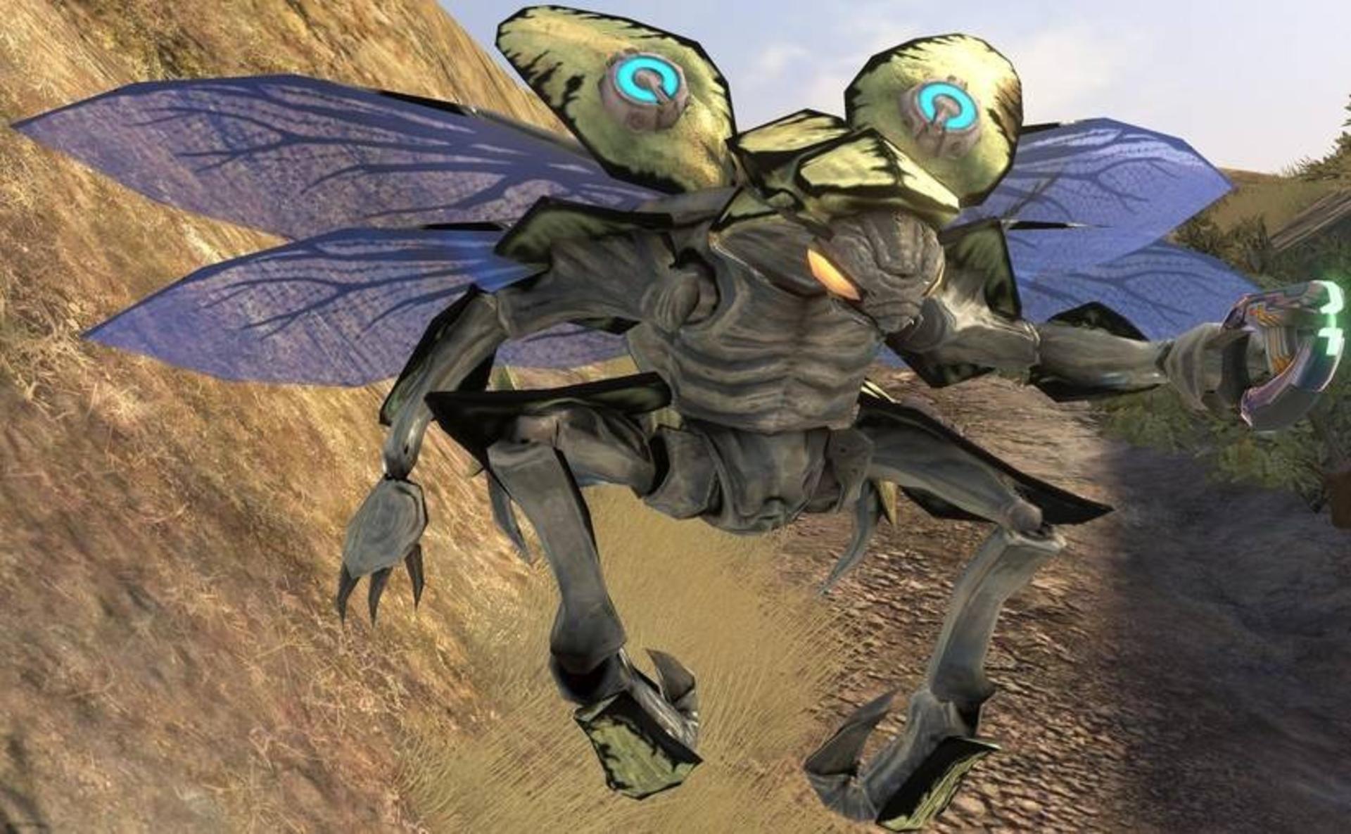 halo drone