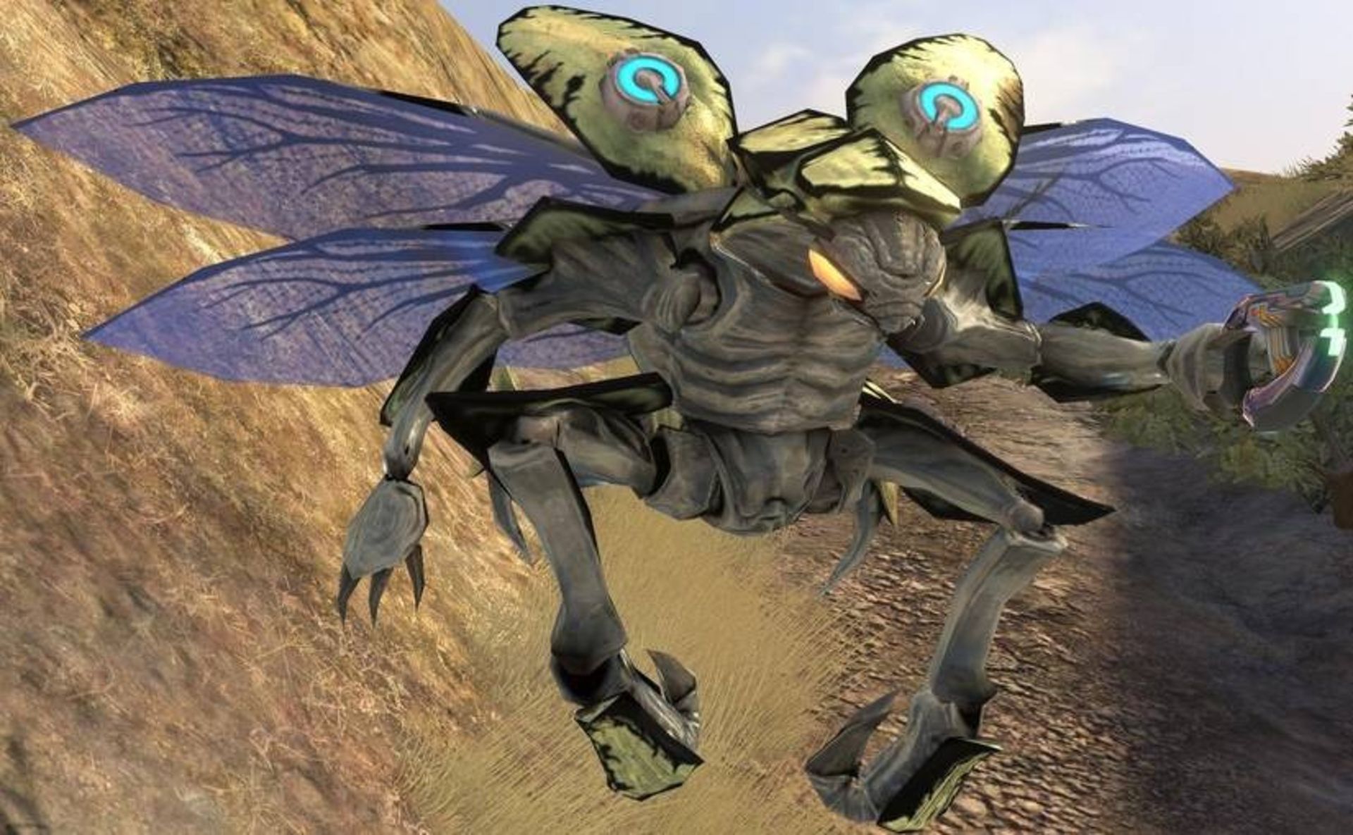 halo drone