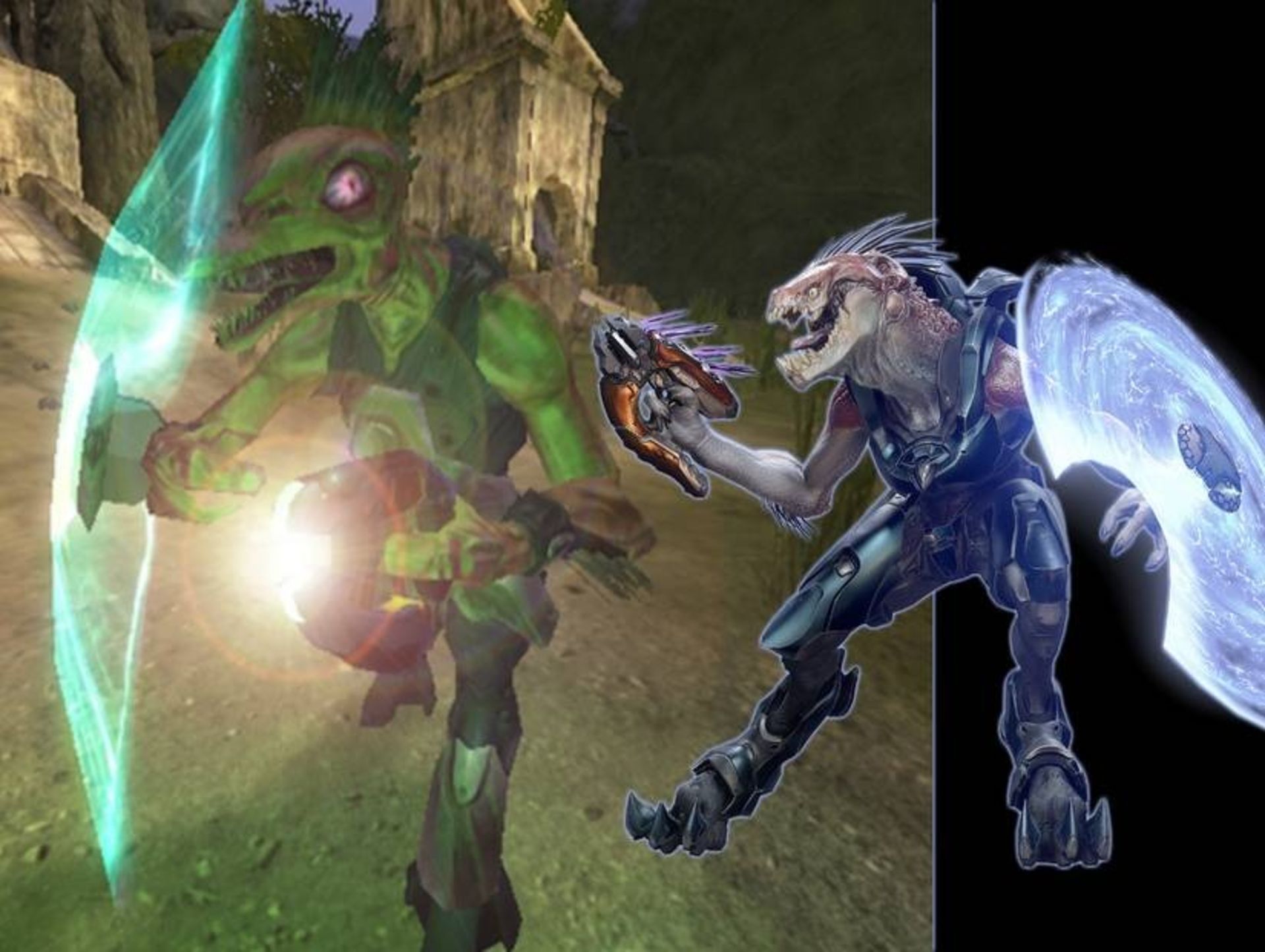 halo jackal
