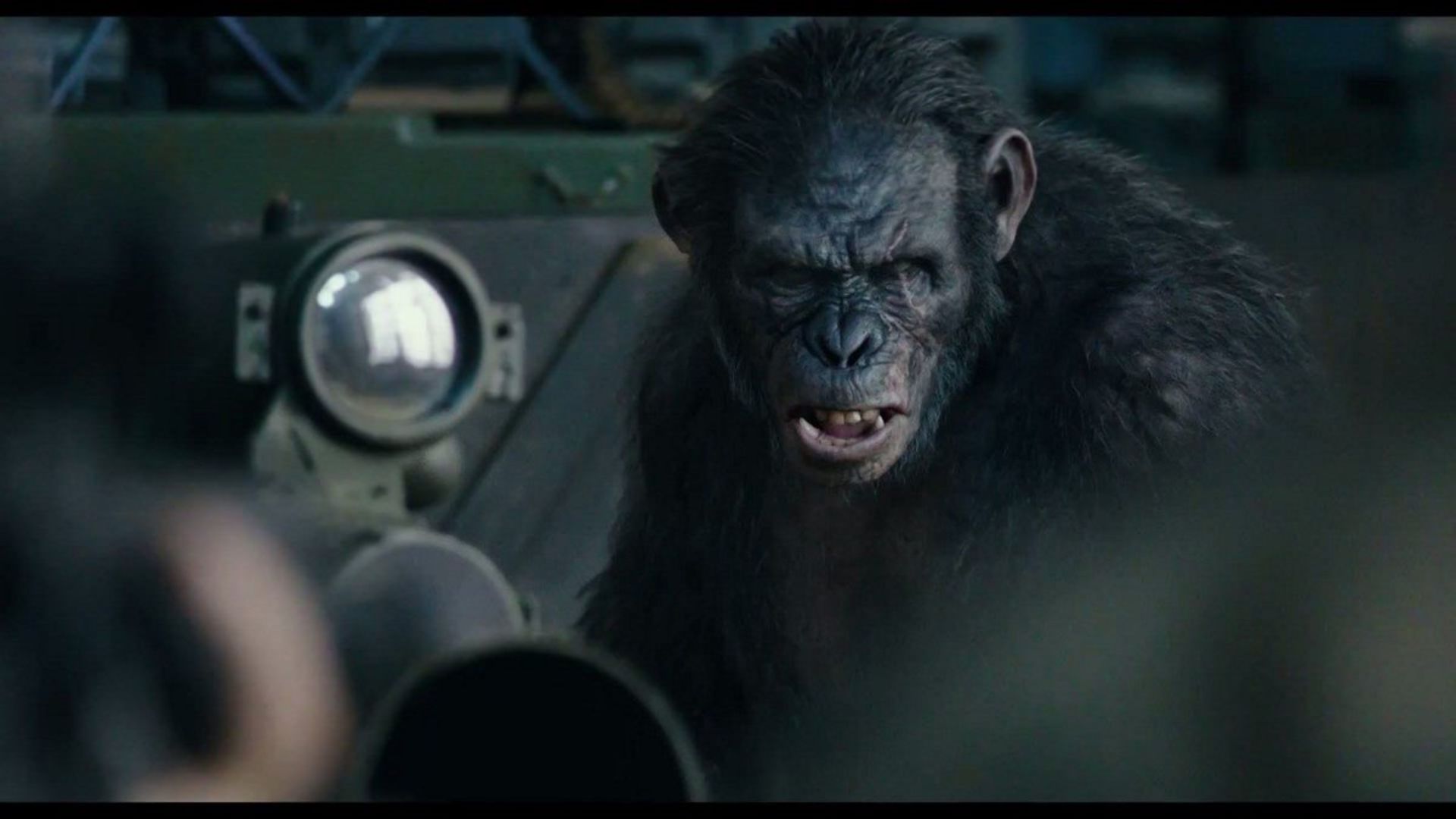 2014-11-dawn-of-the-planet-of-the-apes-13