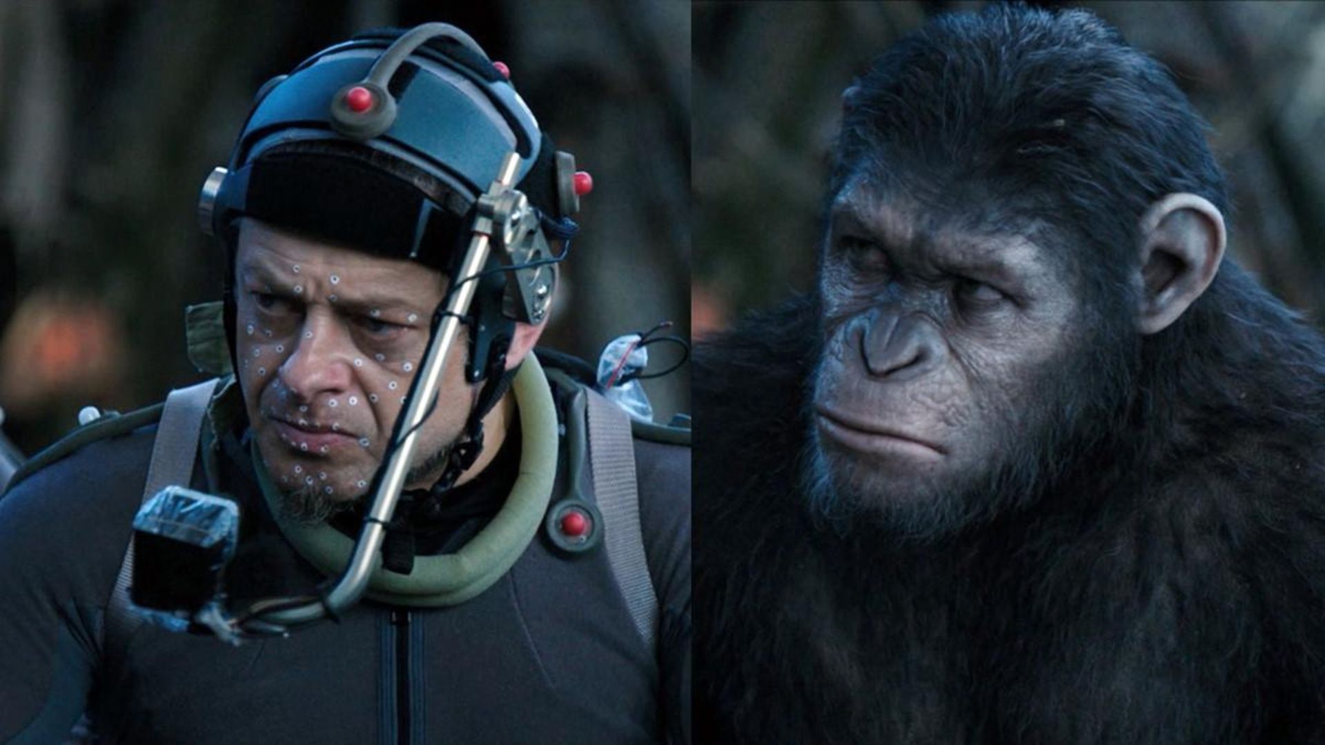 2014-11-dawn-of-the-planet-of-the-apes-14