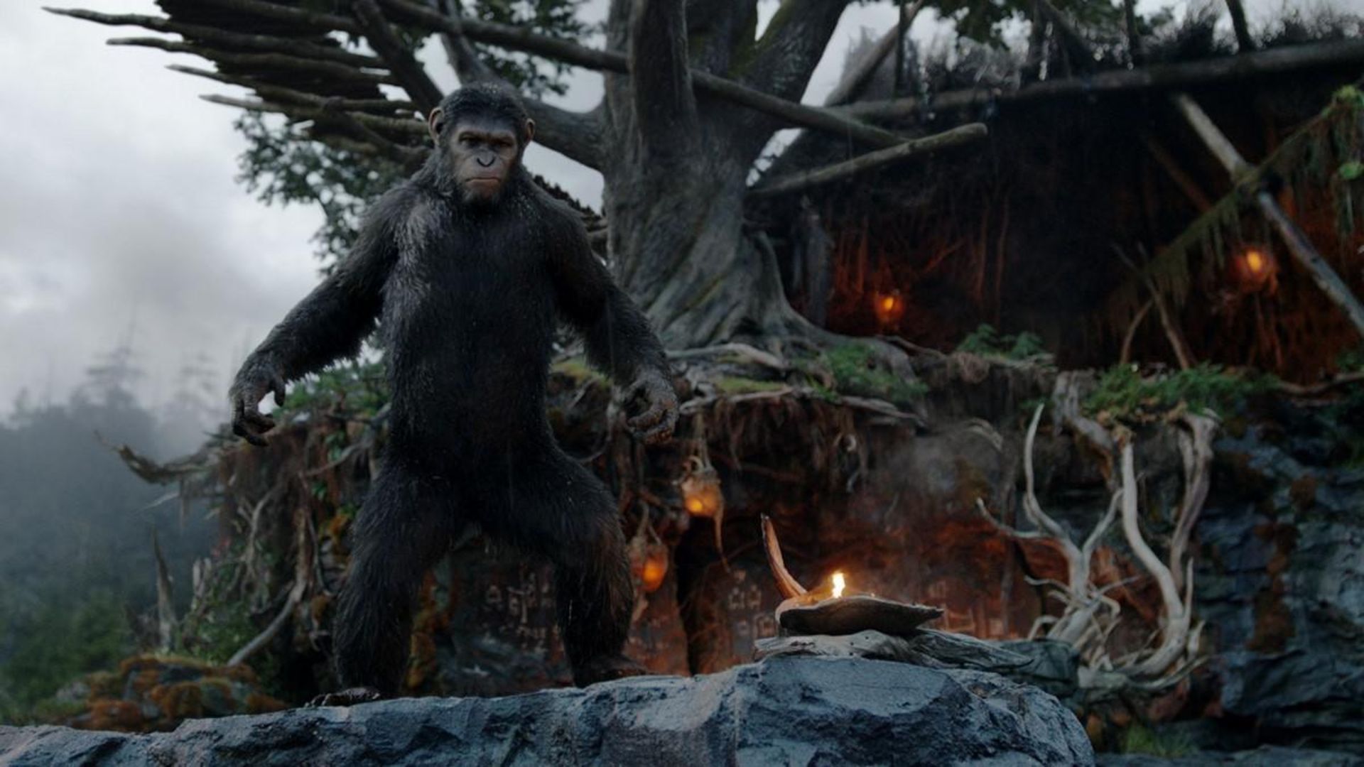 2014-11-dawn-of-the-planet-of-the-apes-4