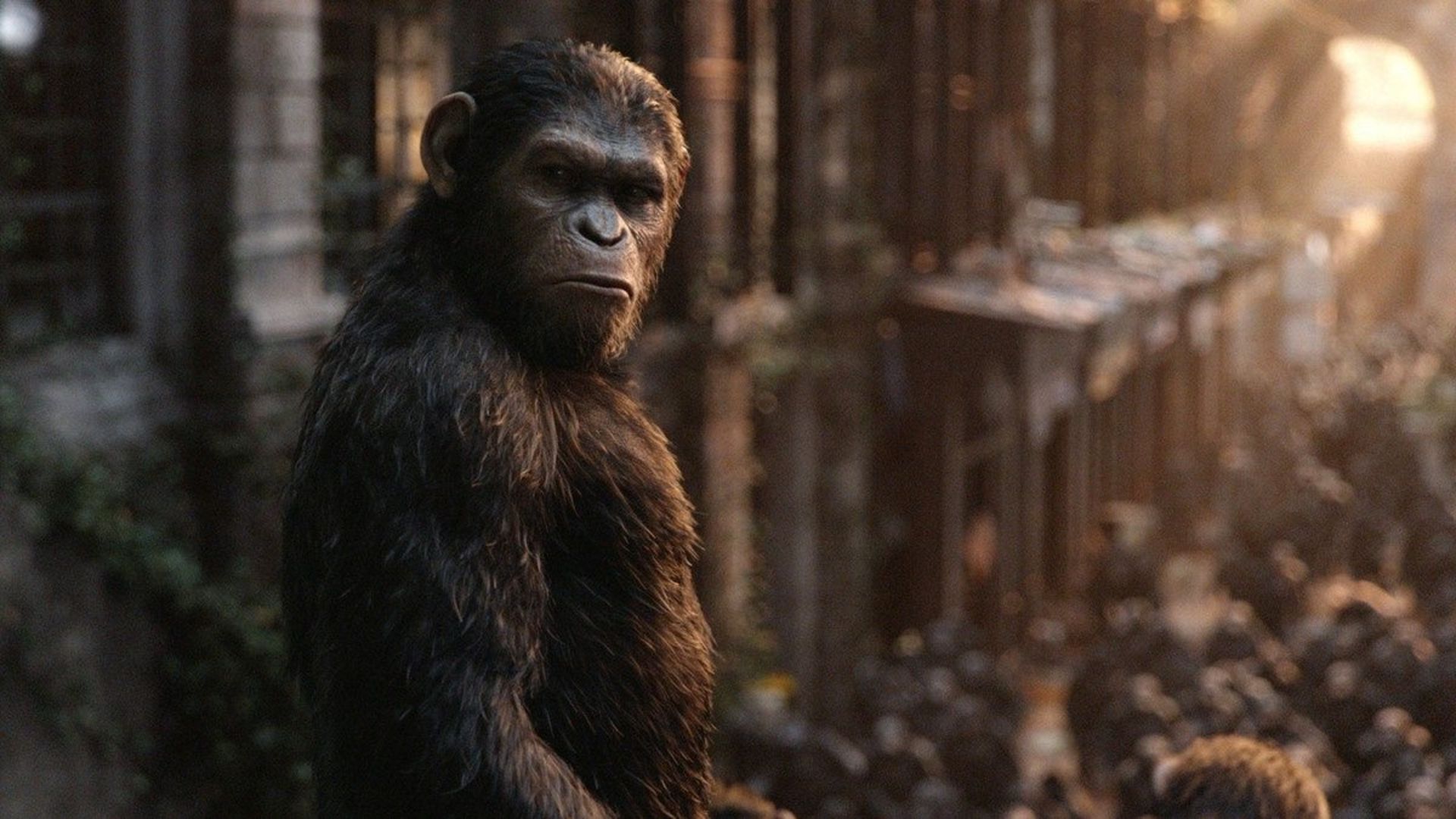 2014-11-dawn-of-the-planet-of-the-apes-7