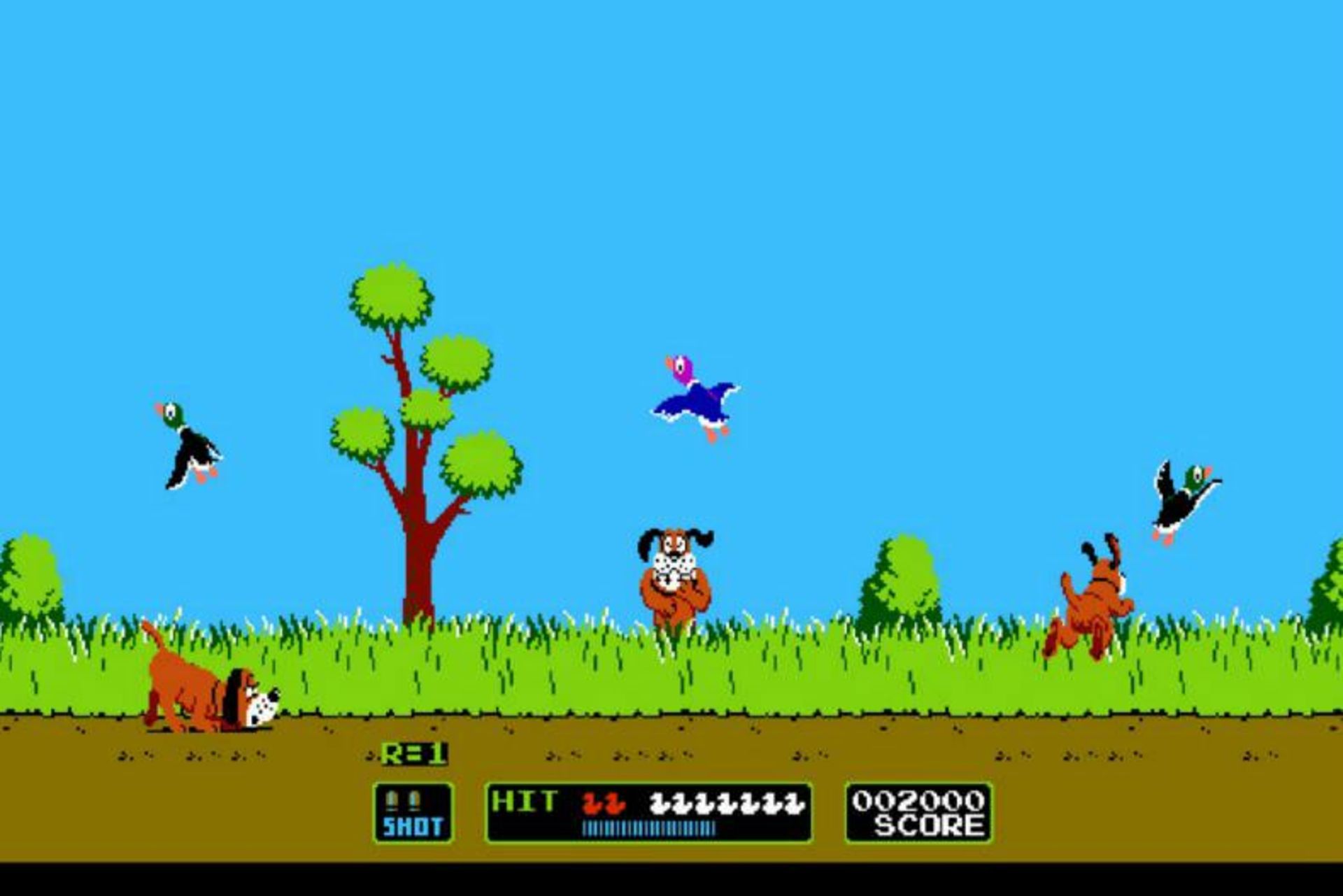Duck Hunt