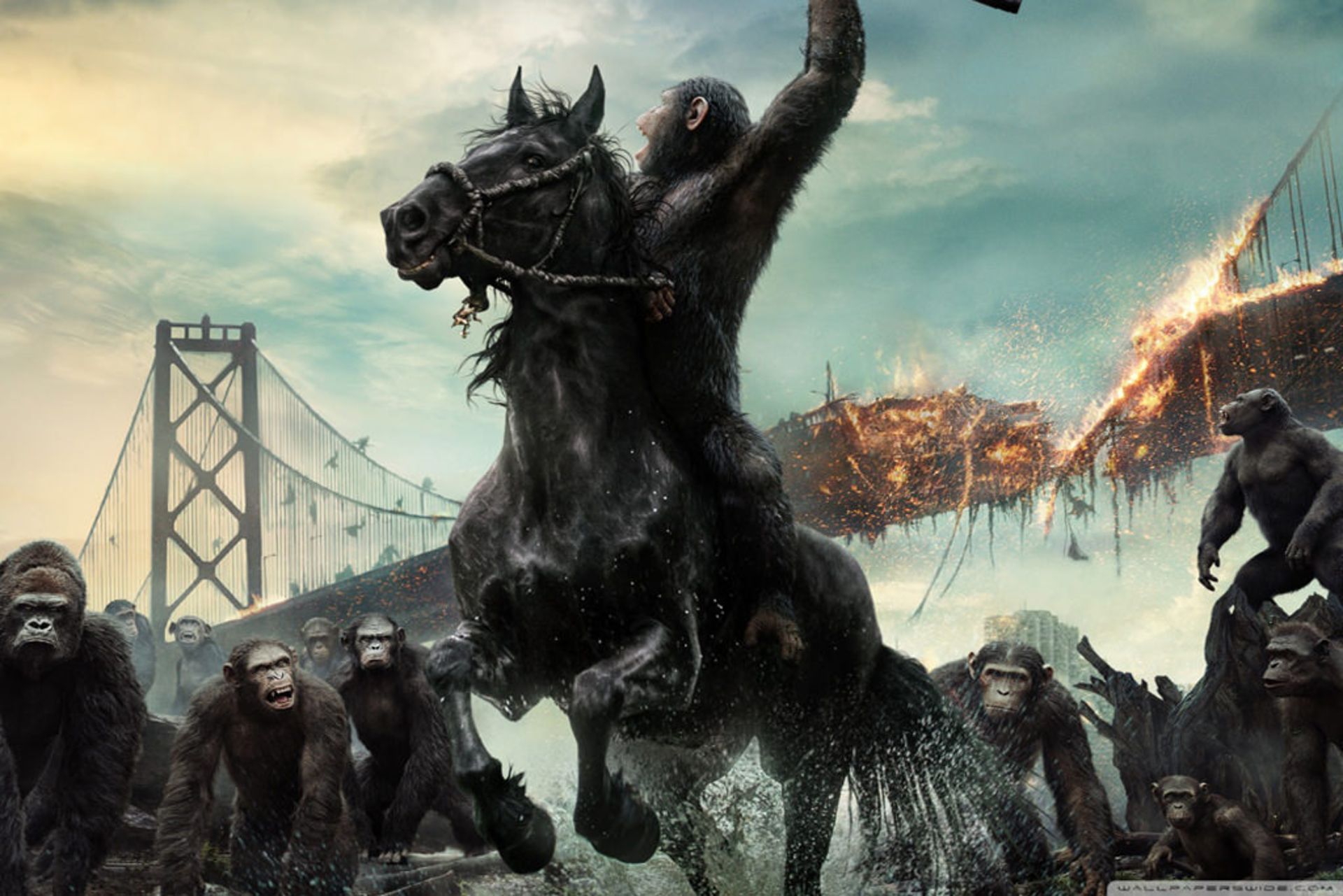 2014-12-best-films