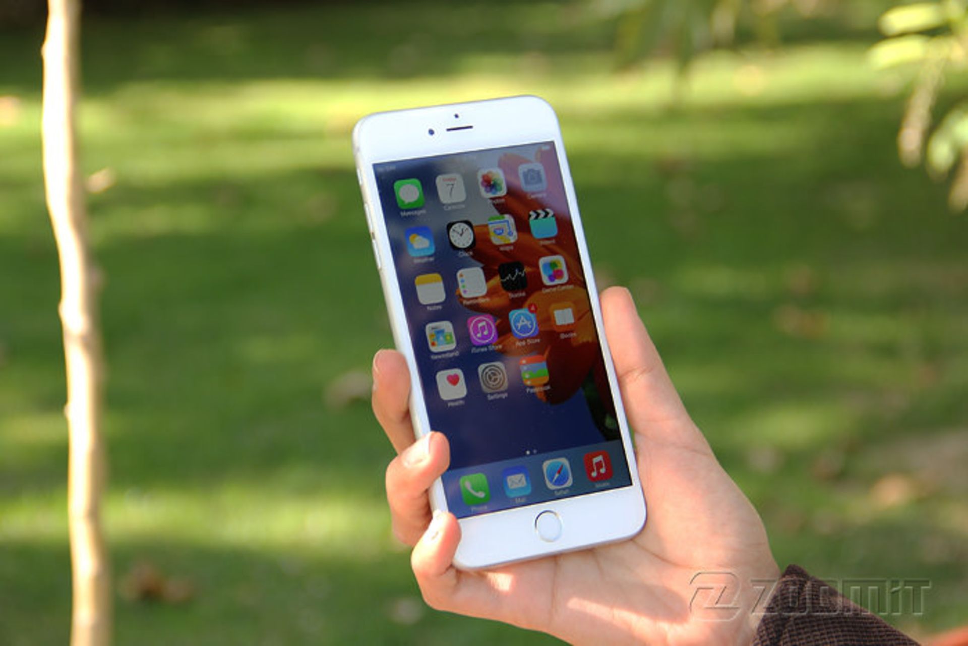 2014-12-iphone6-plus