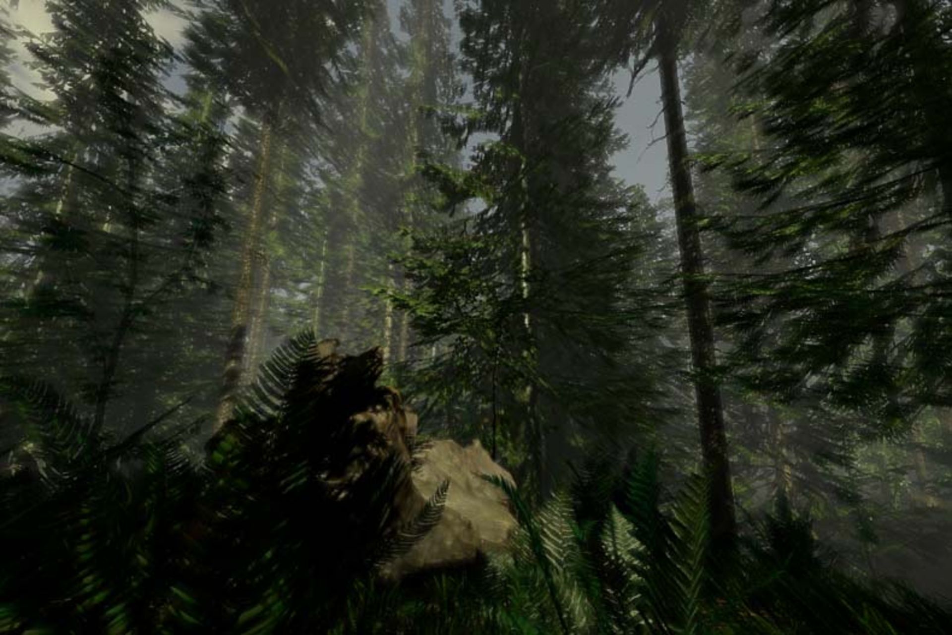 2014-12-the-forest