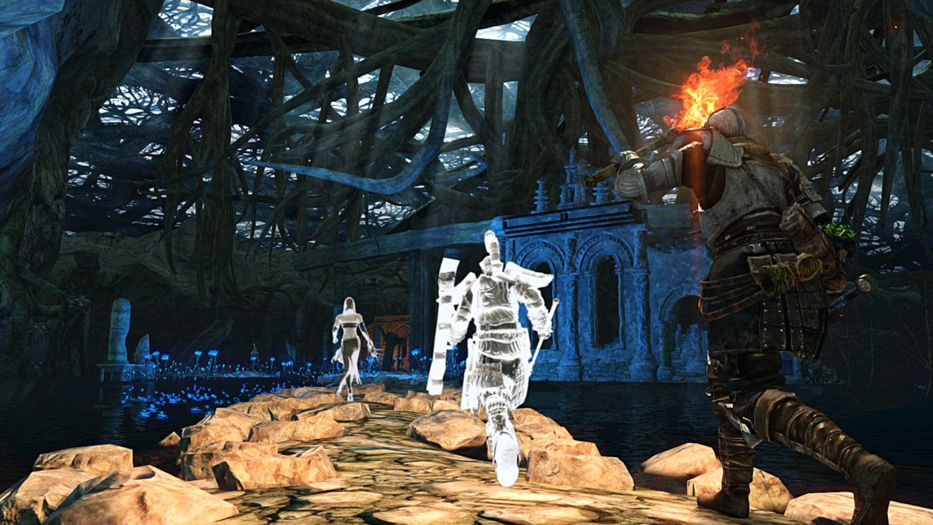 2015-01-dark-souls-2-scholar-of-the-first-sin-10