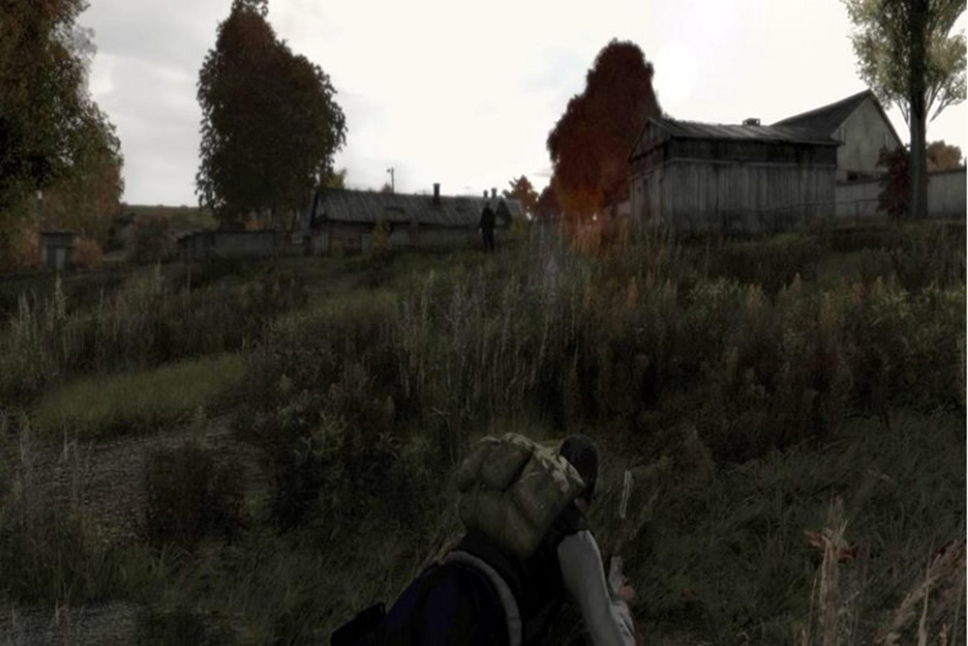 2015-01-dayz-111