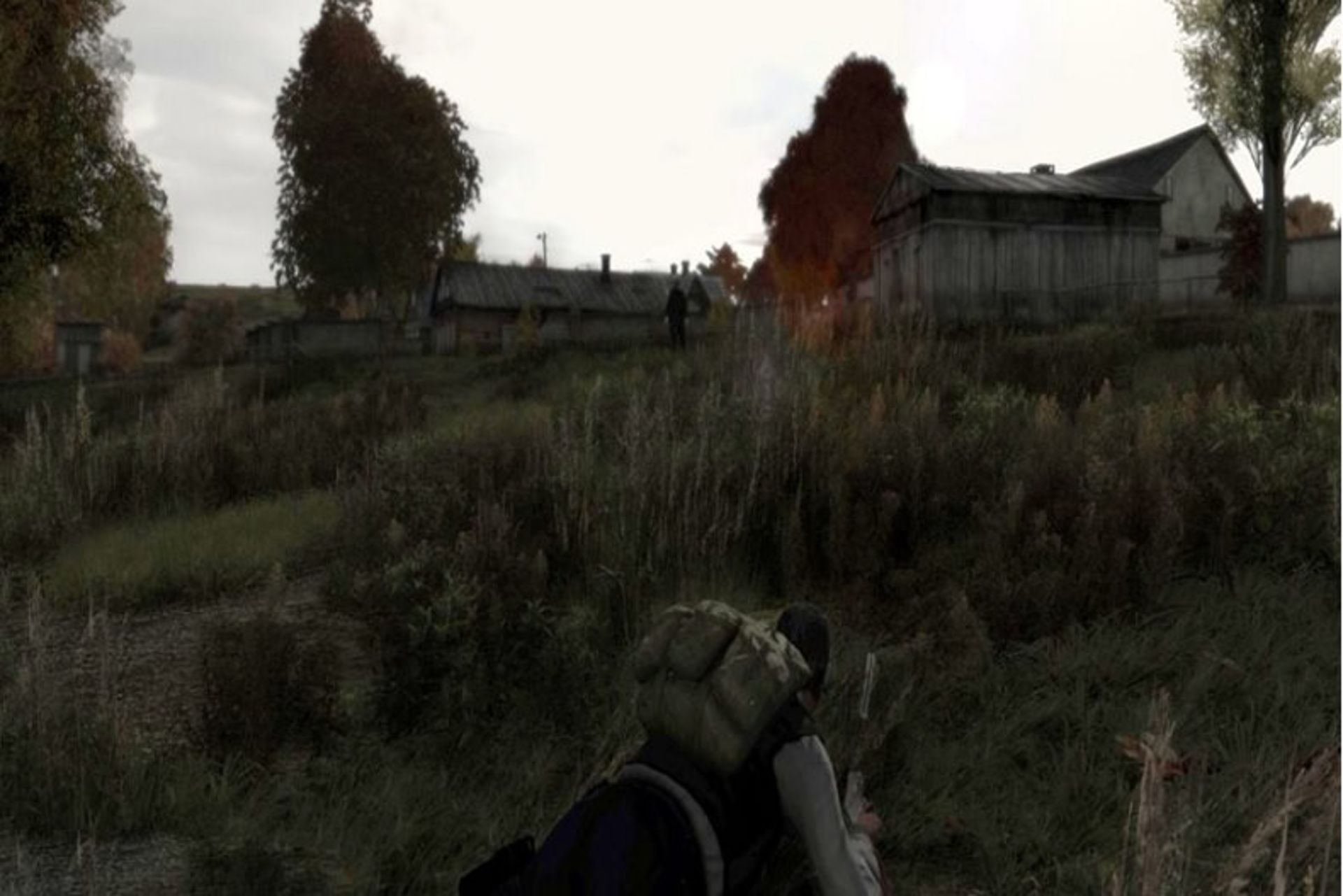 2015-01-dayz-111