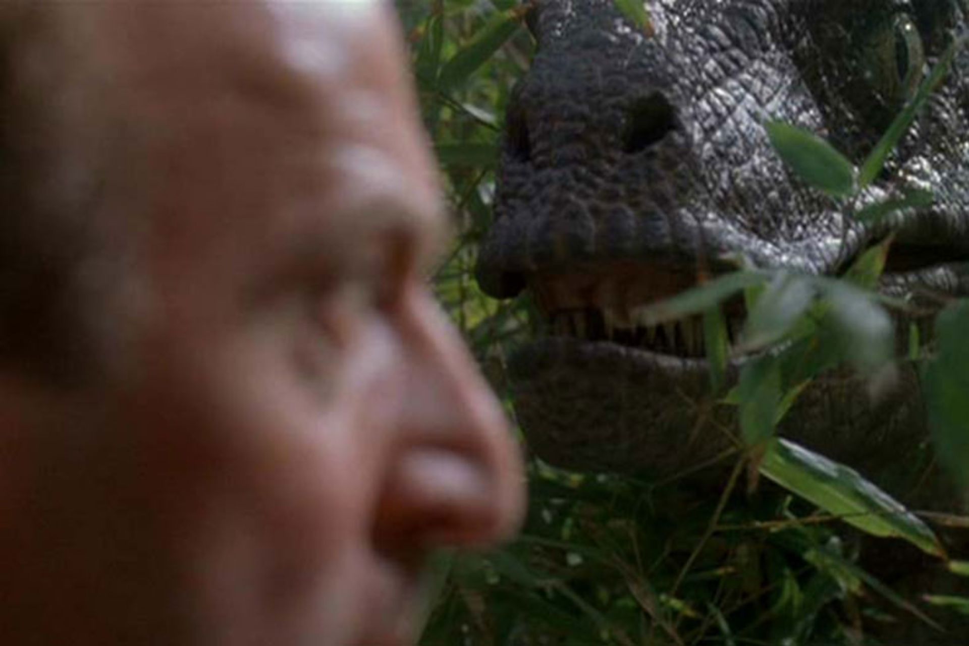 2015-01-farcry