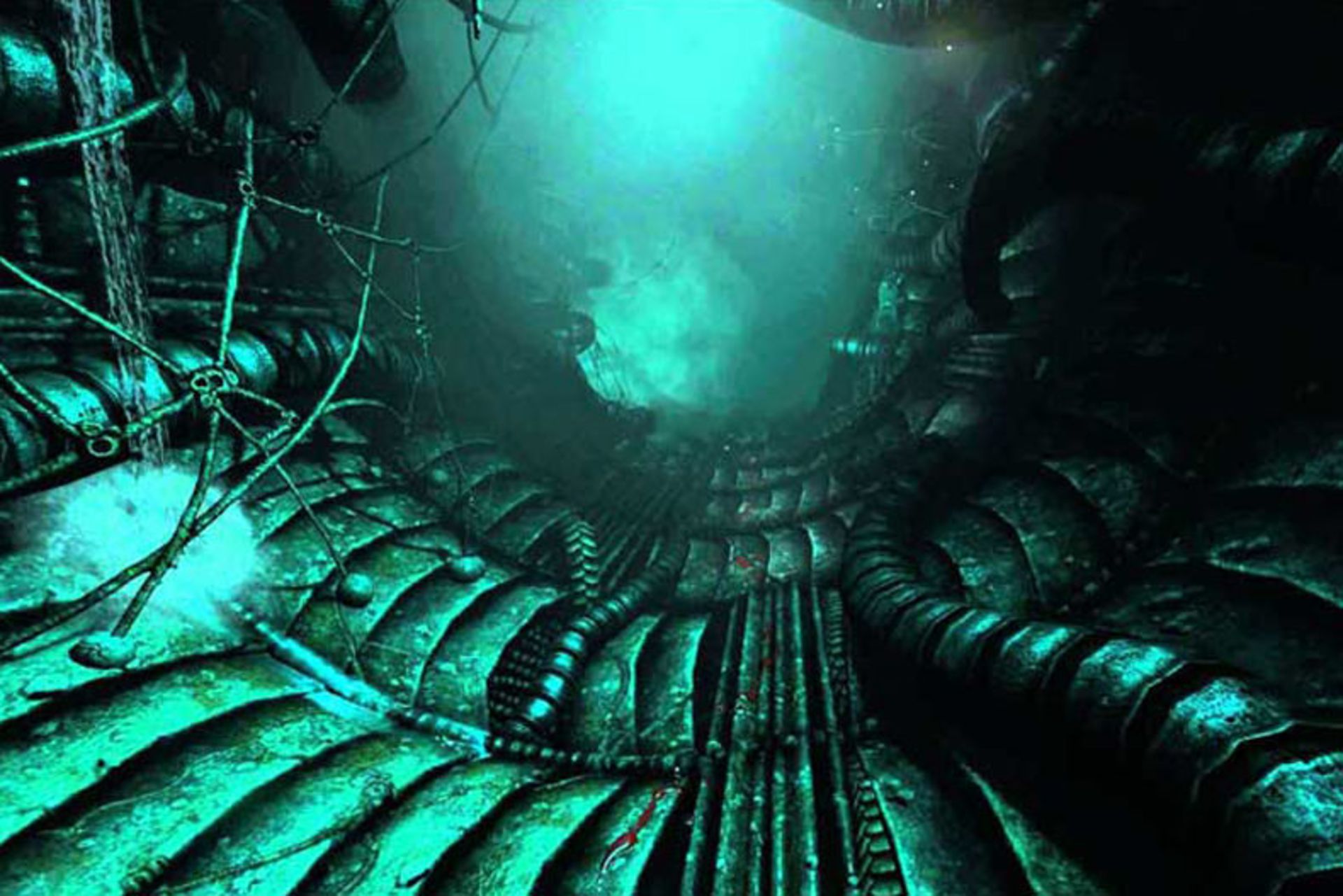 2015-01-soma