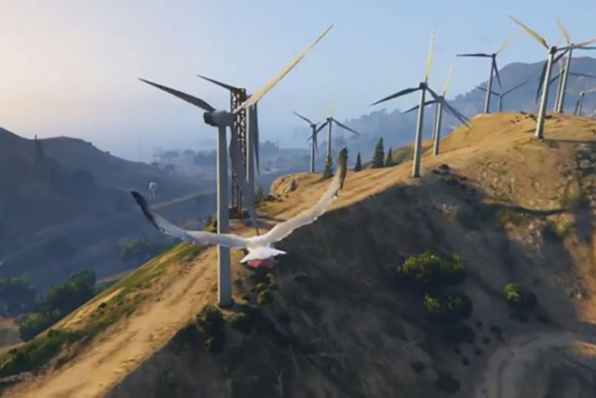 GTA-V-Bird