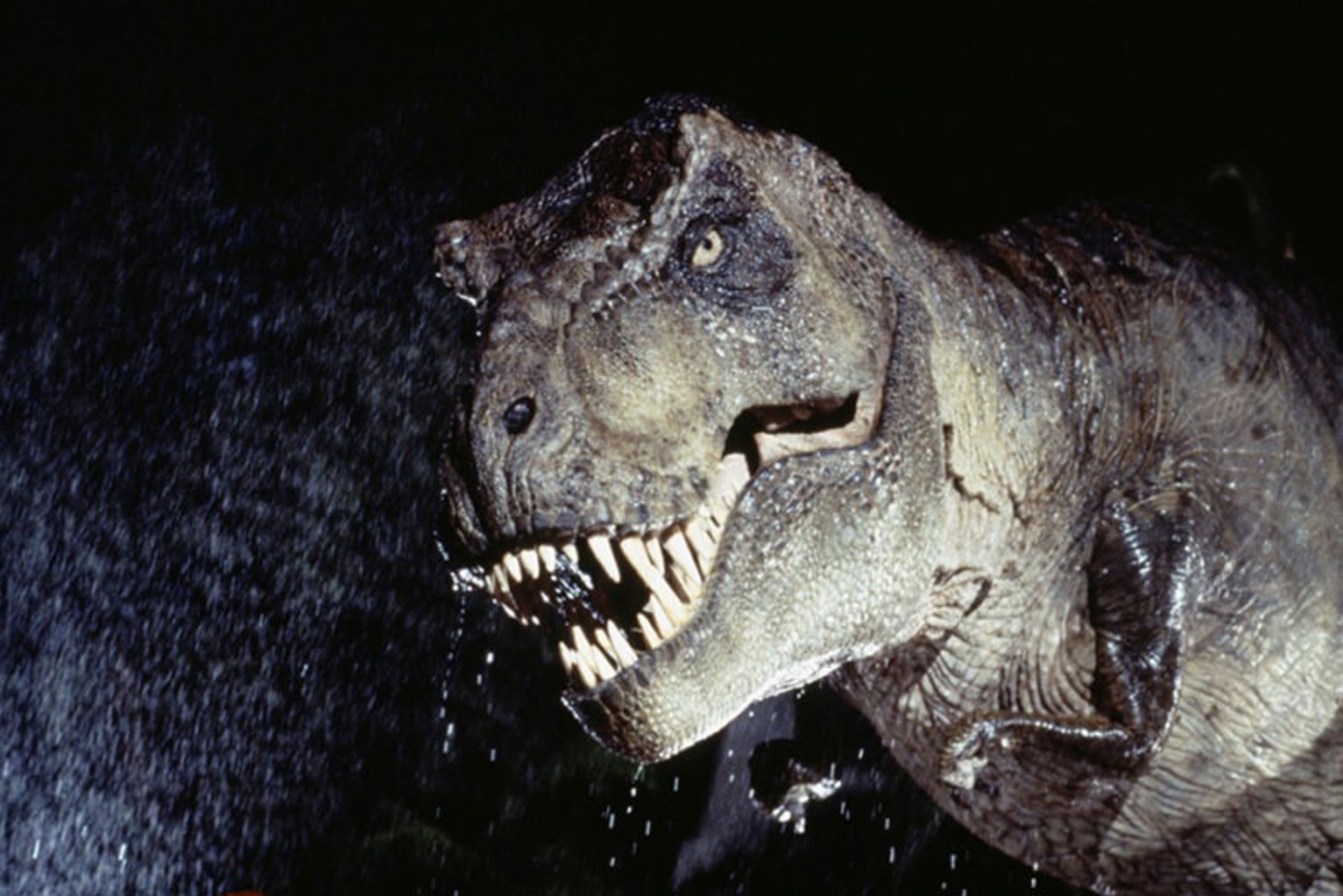 t-rex-jurassic-park