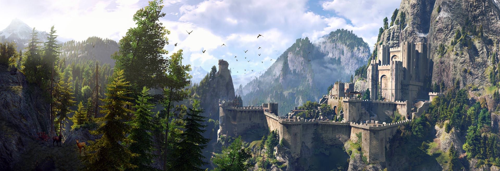 The Witcher 3 panorama (2)