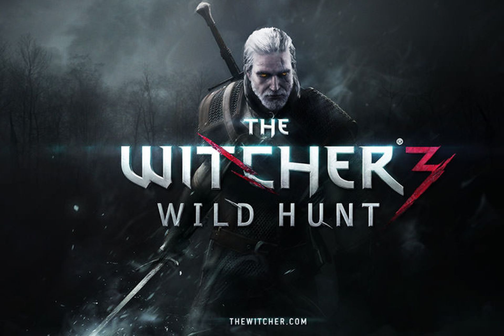 The Witcher 3 Wild Hunt 11