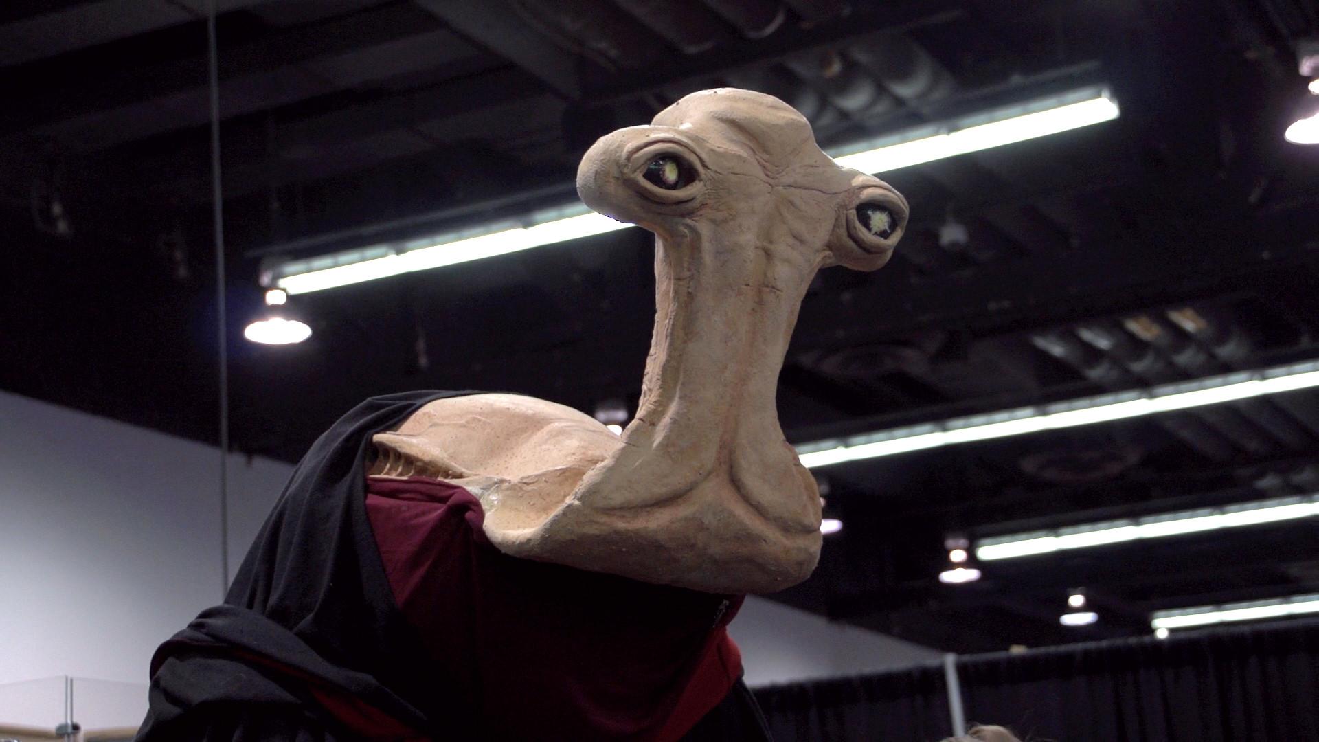 2015-04-2849837-hammerhead_cu1