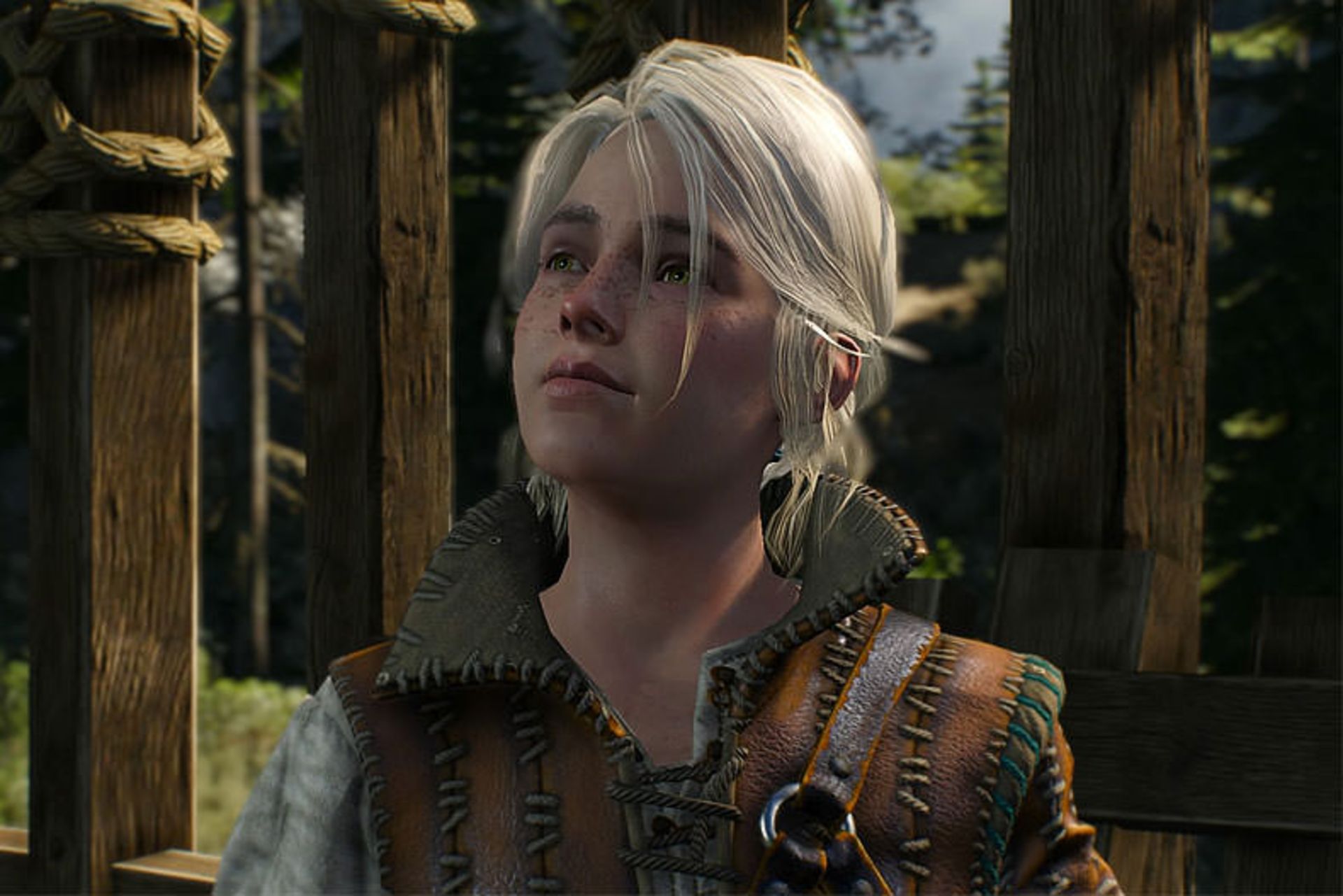  The Witcher 3