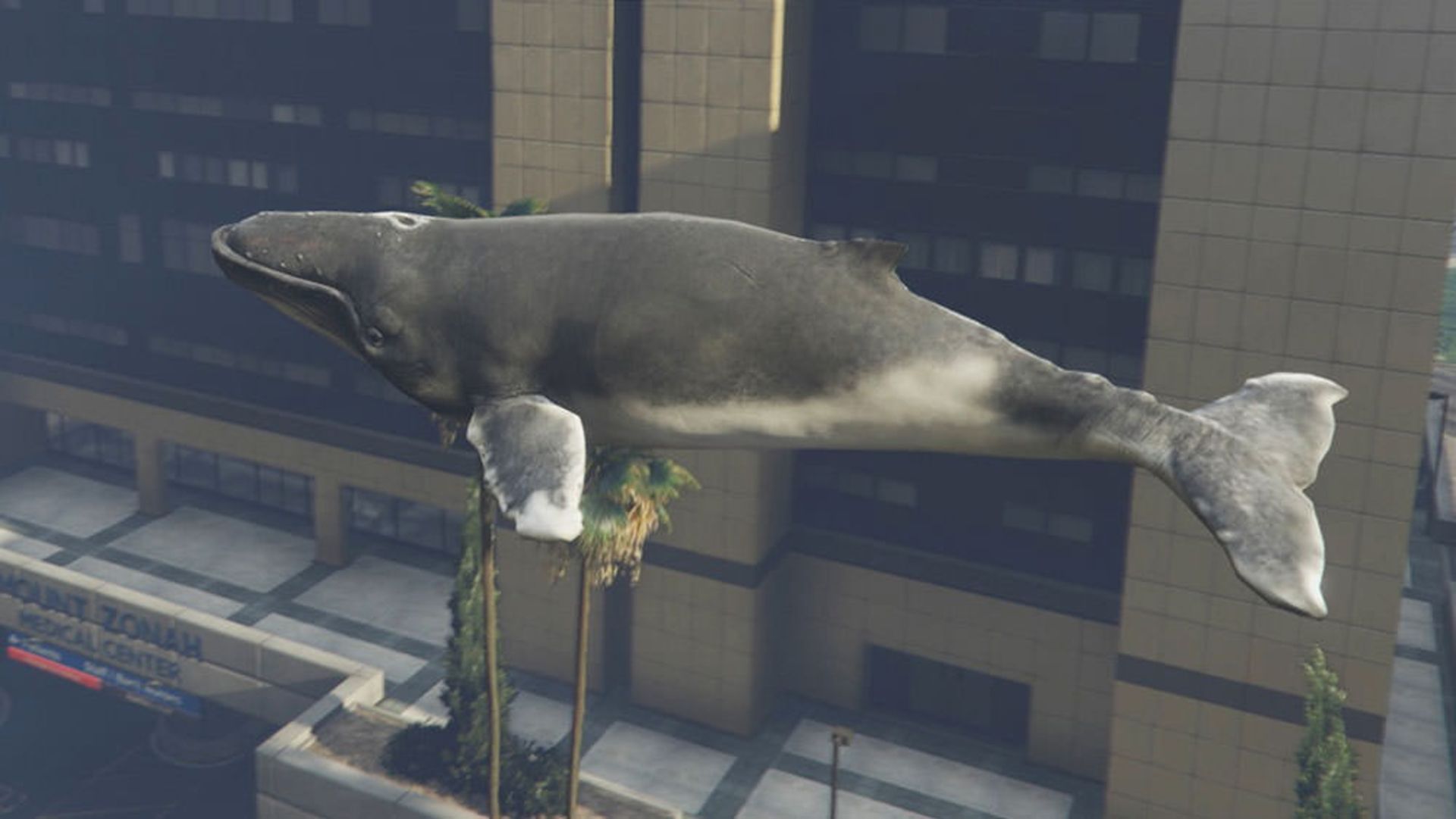 2015-05-gta-5634535