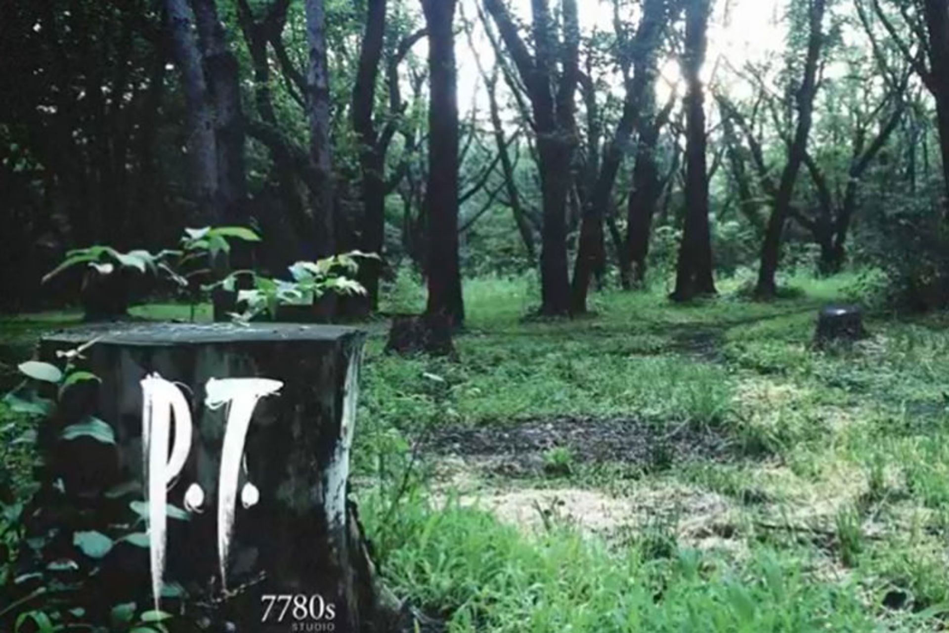 P.T Silent Hills