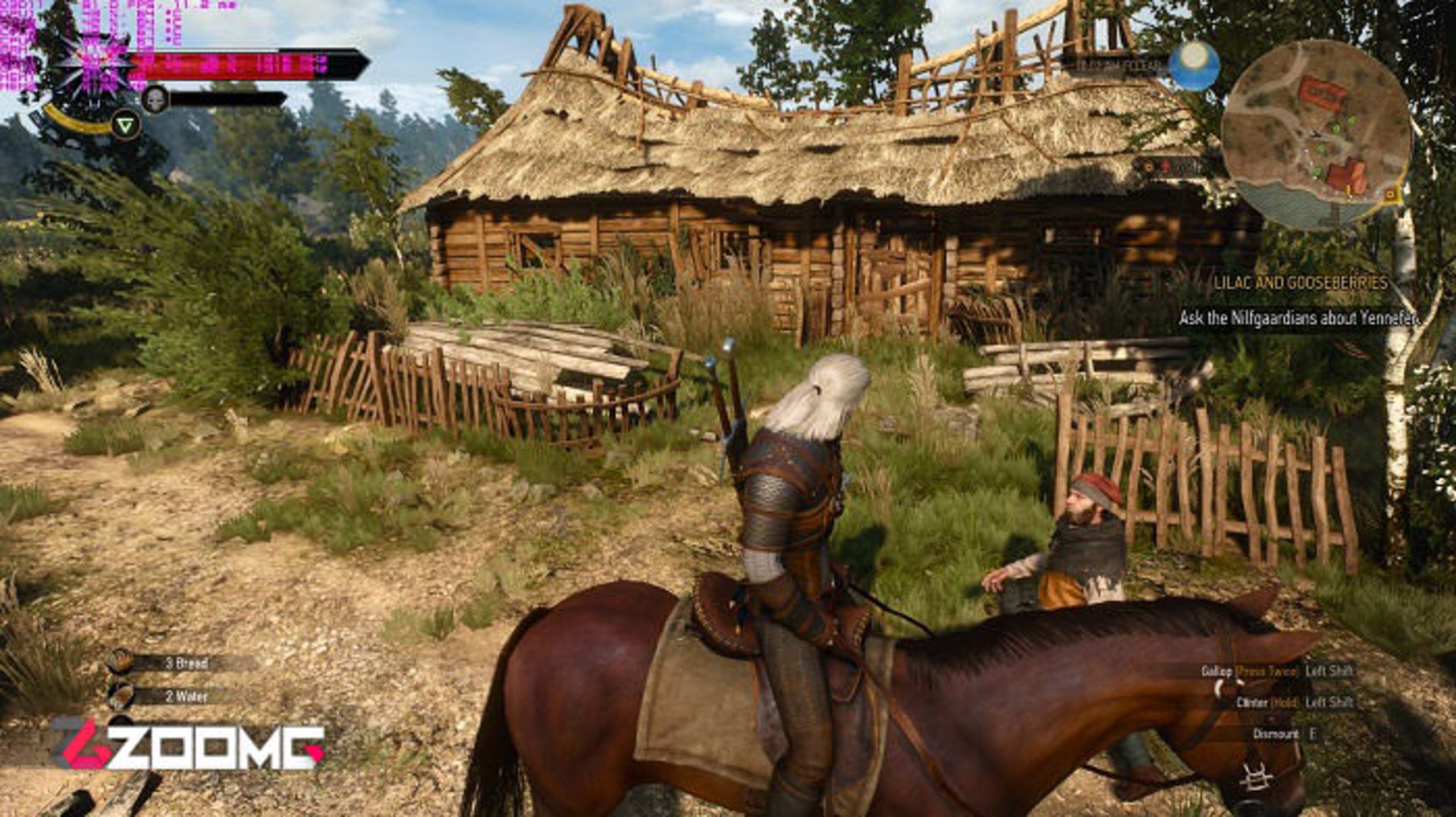 2015-05-witcher3_2015-copy3-zoomg