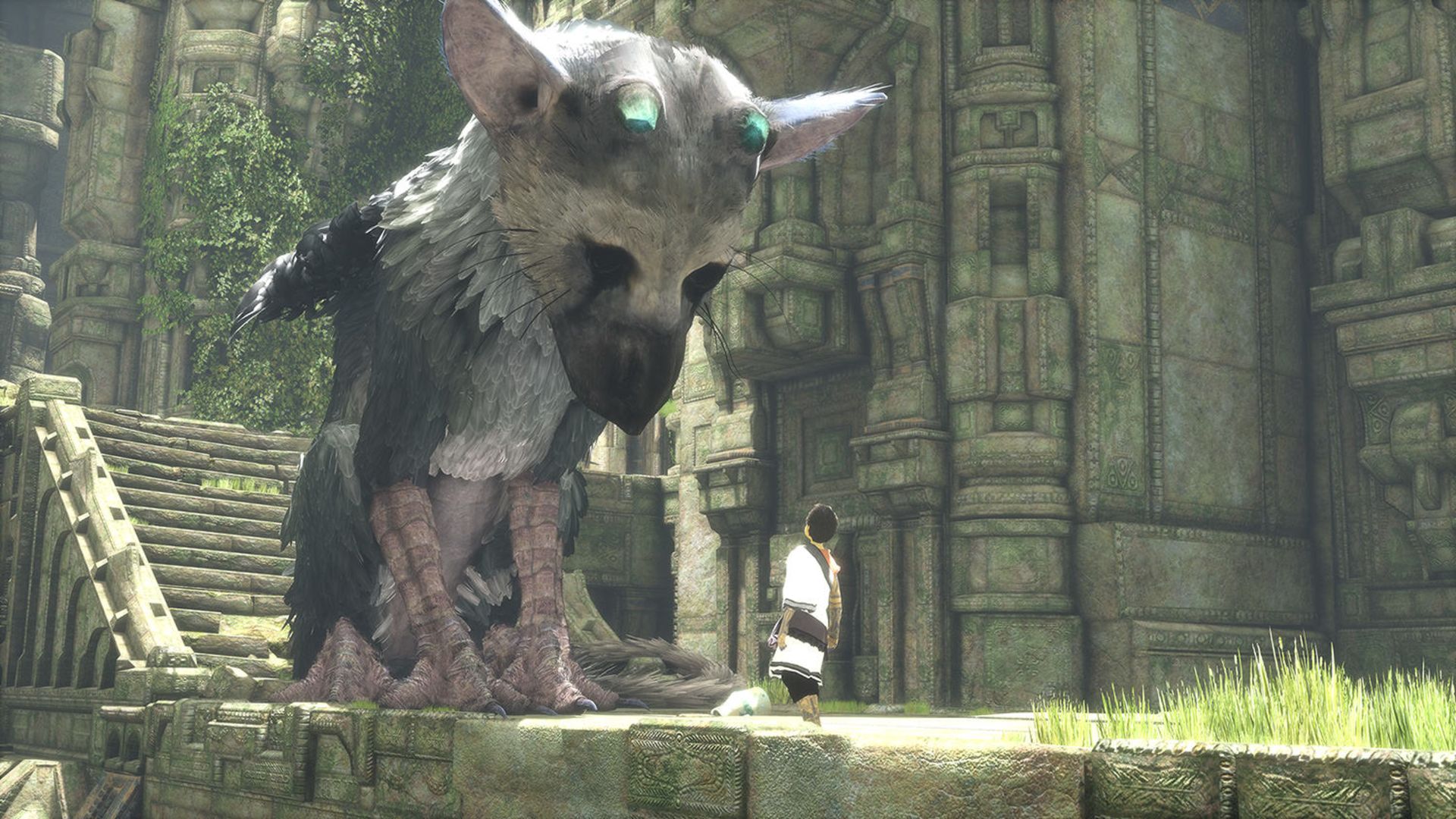 2015-06-the-last-guardian-1