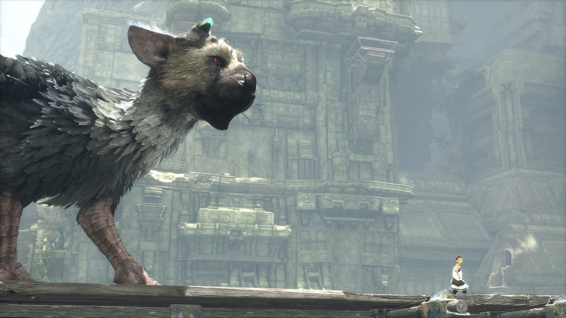2015-06-the-last-guardian-21