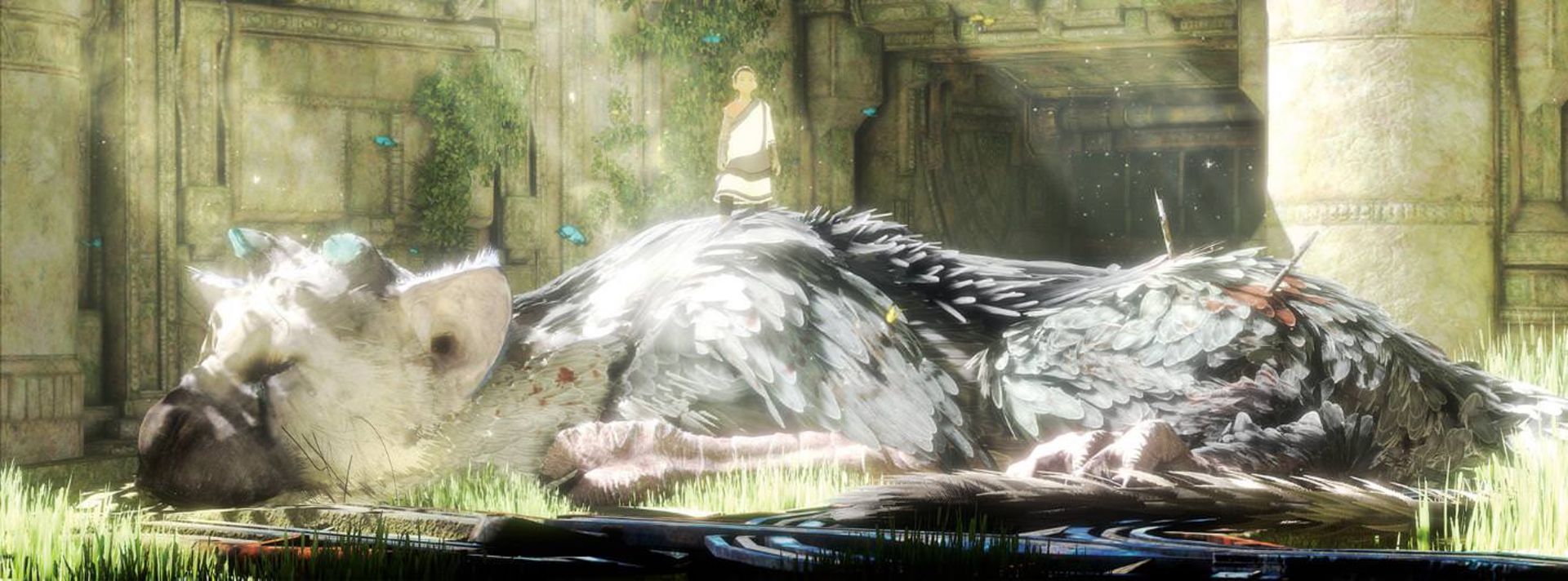 2015-06-the-last-guardian-72