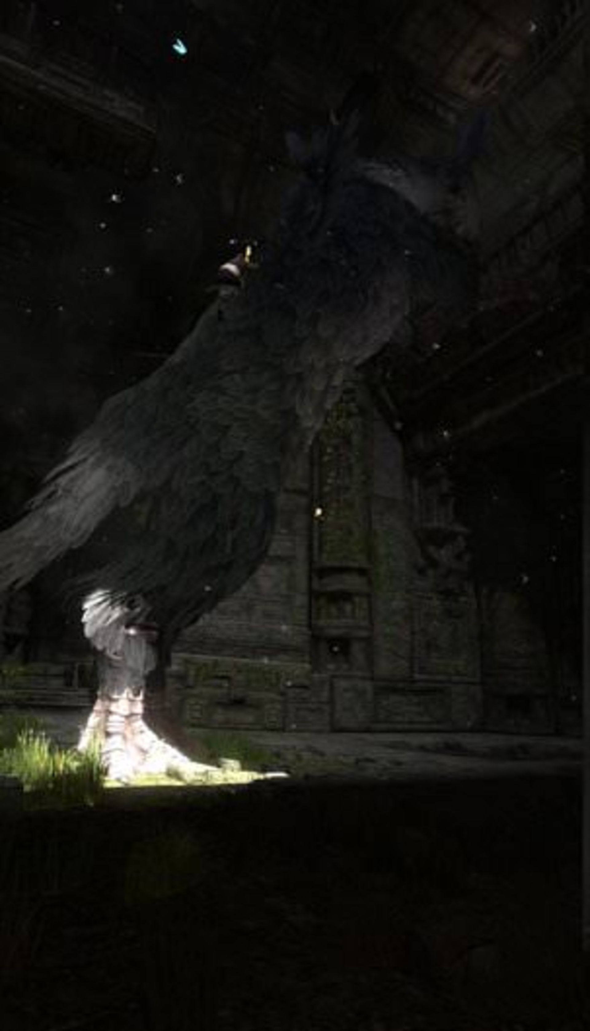 2015-06-the-last-guardian-gameplay-6