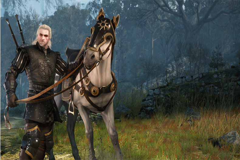 2015-06-the-witcher-3-wild-hunt-2