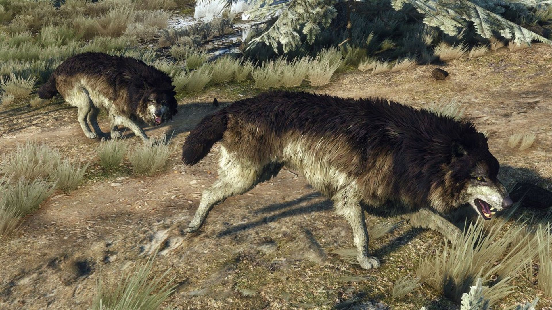 AMD vs NVIDIA GameWorks