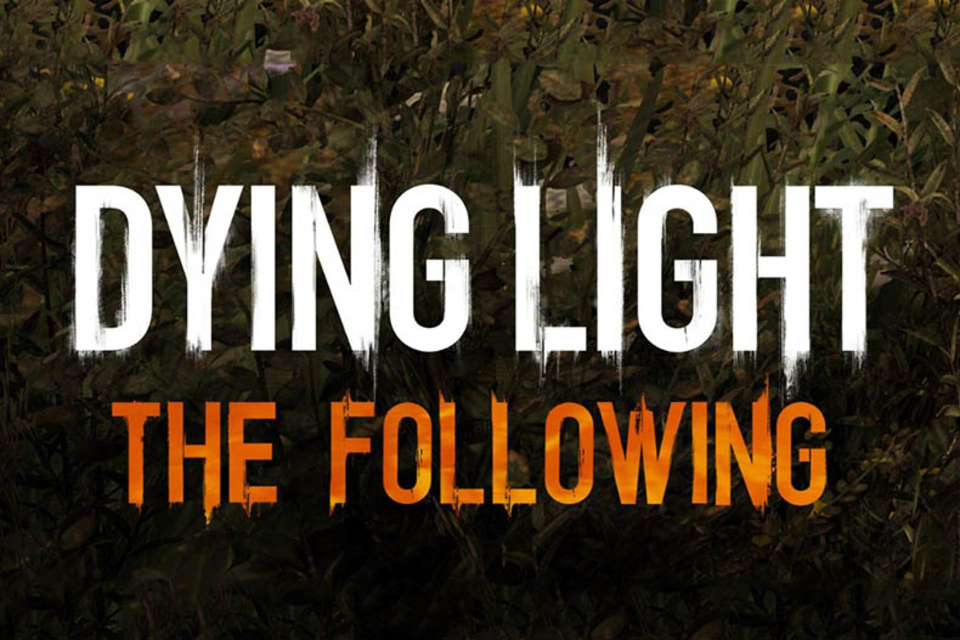 dying light the followng