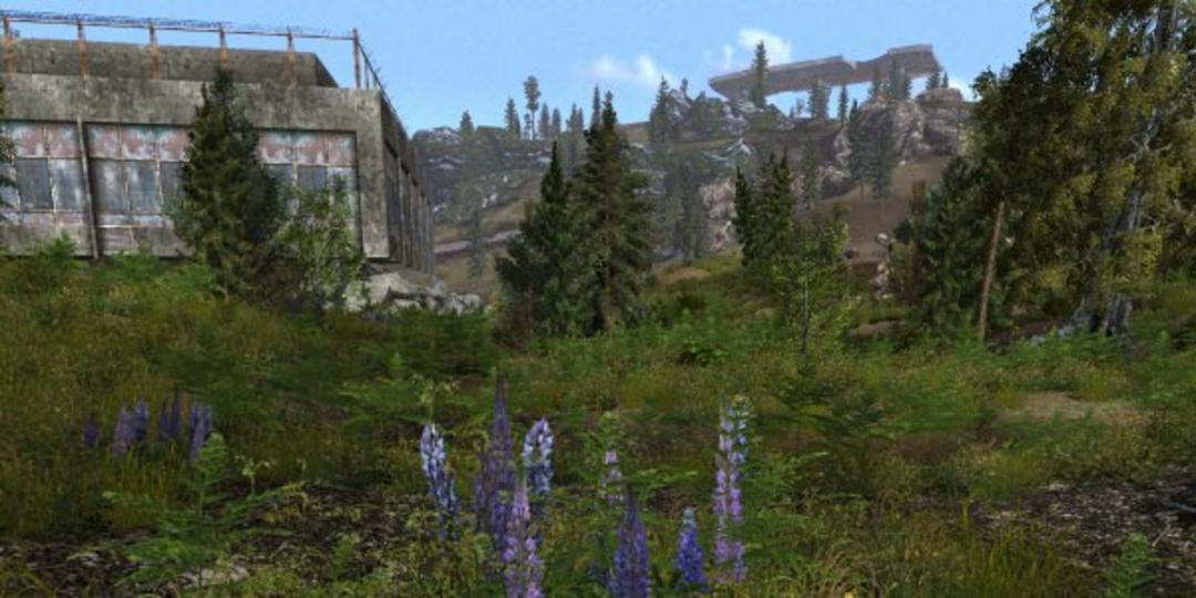 2015-07-fallout-3-mod-flora-overhaul