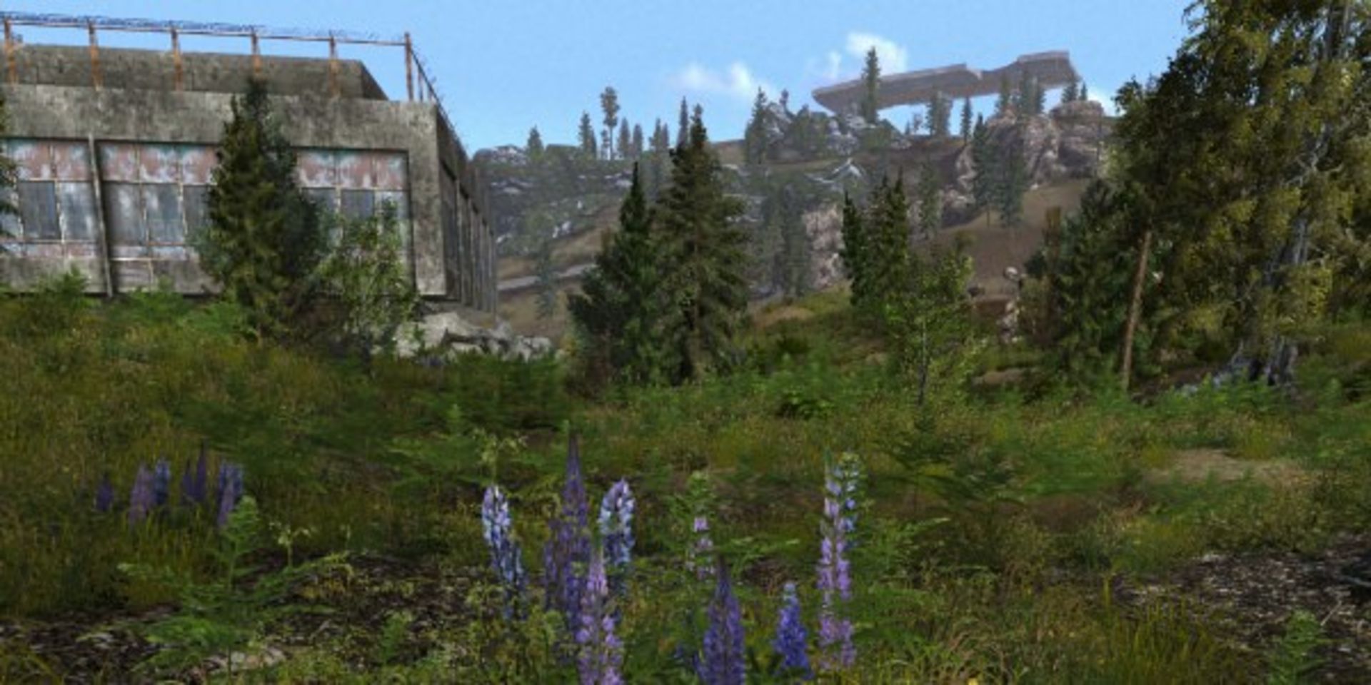 2015-07-fallout-3-mod-flora-overhaul