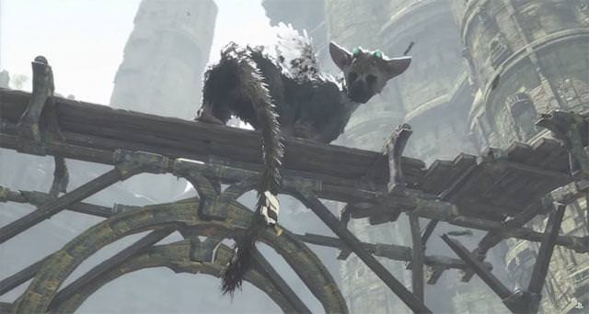 2015-07-the-last-guardian-1
