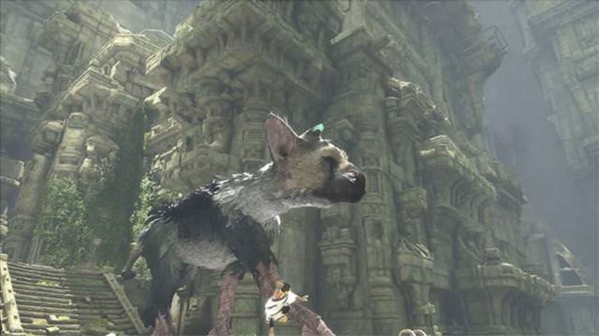 2015-07-the-last-guardian-2