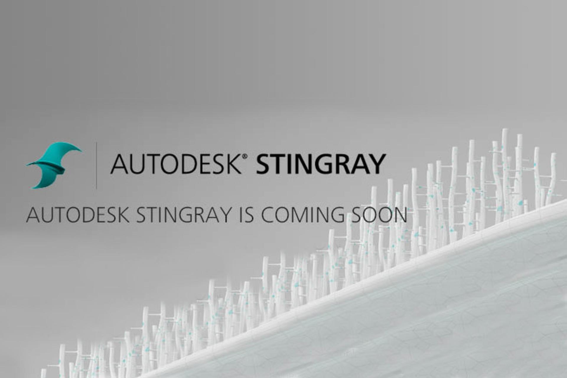 stingray