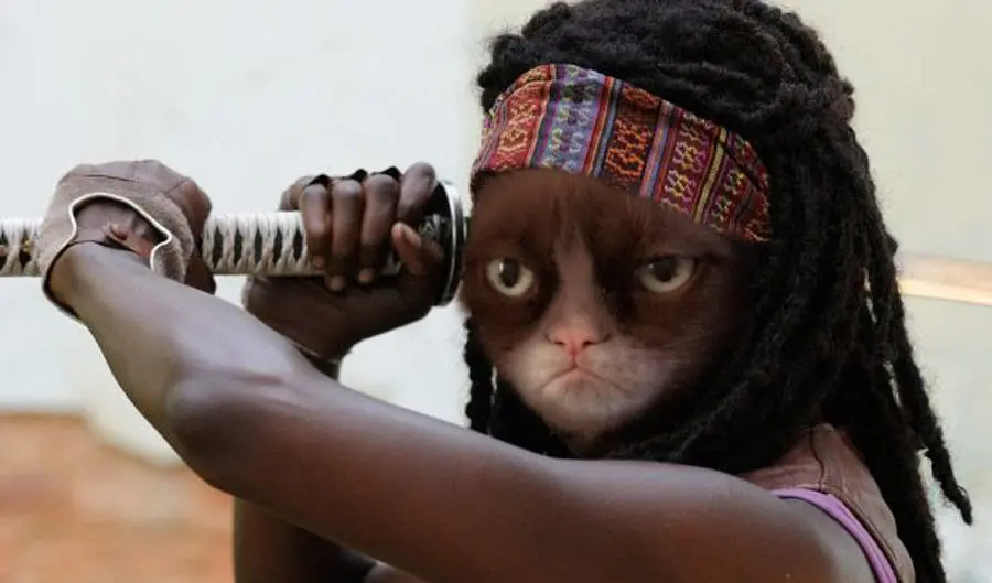 2015-08-walking-dead-grumpy-cat