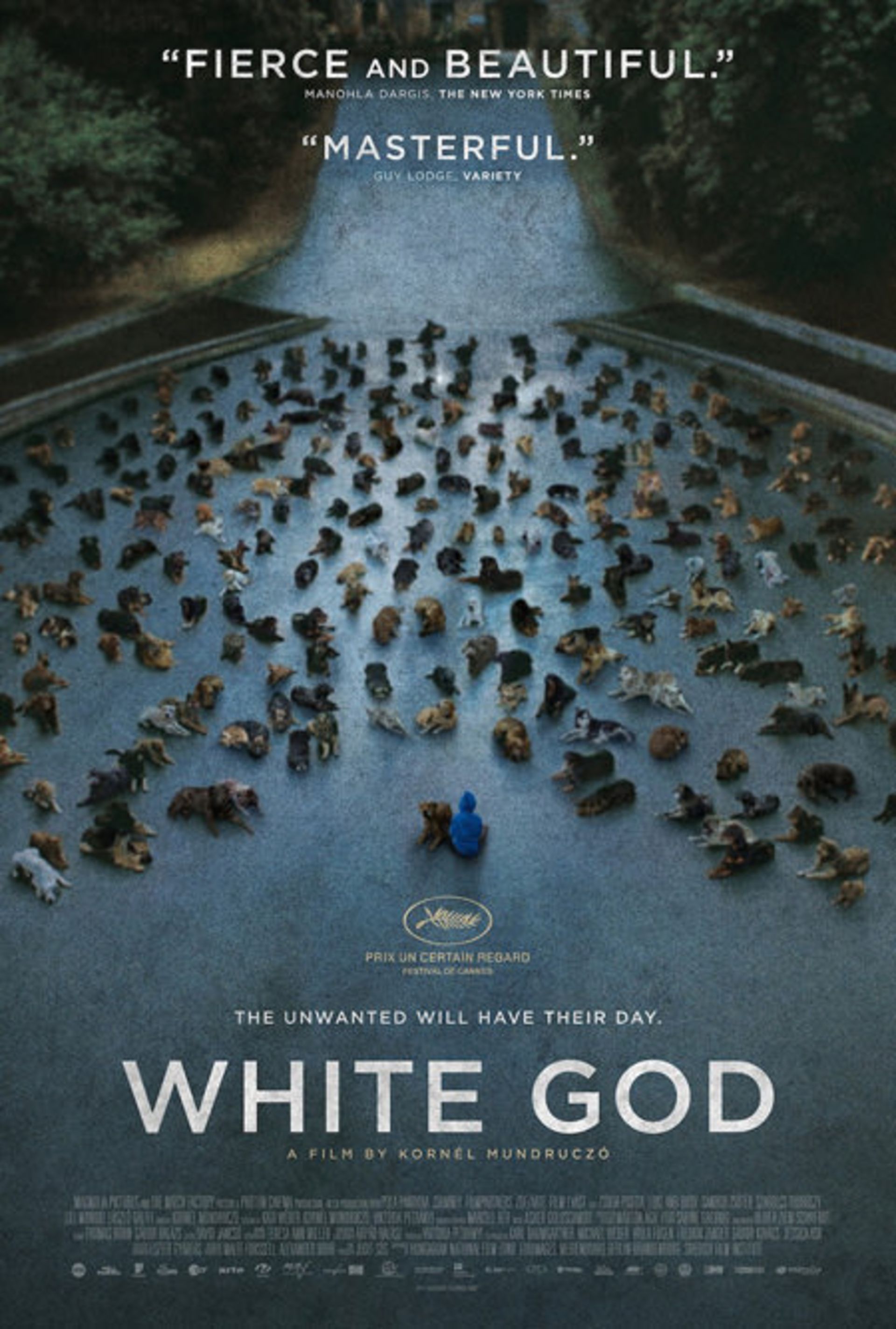 2015-08-white-god.jpga_