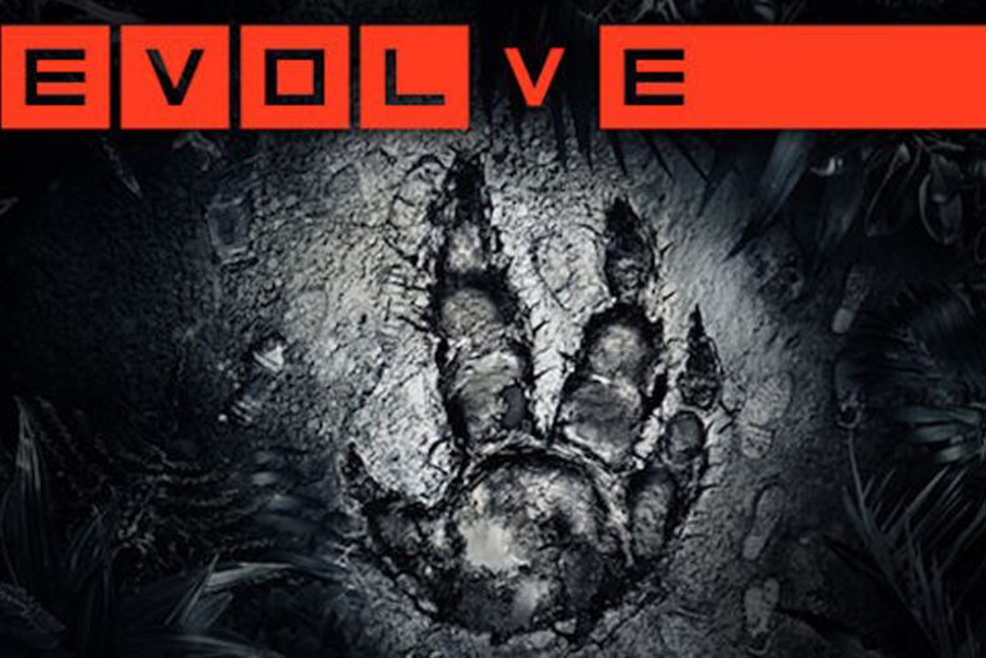 2015-10-evolve