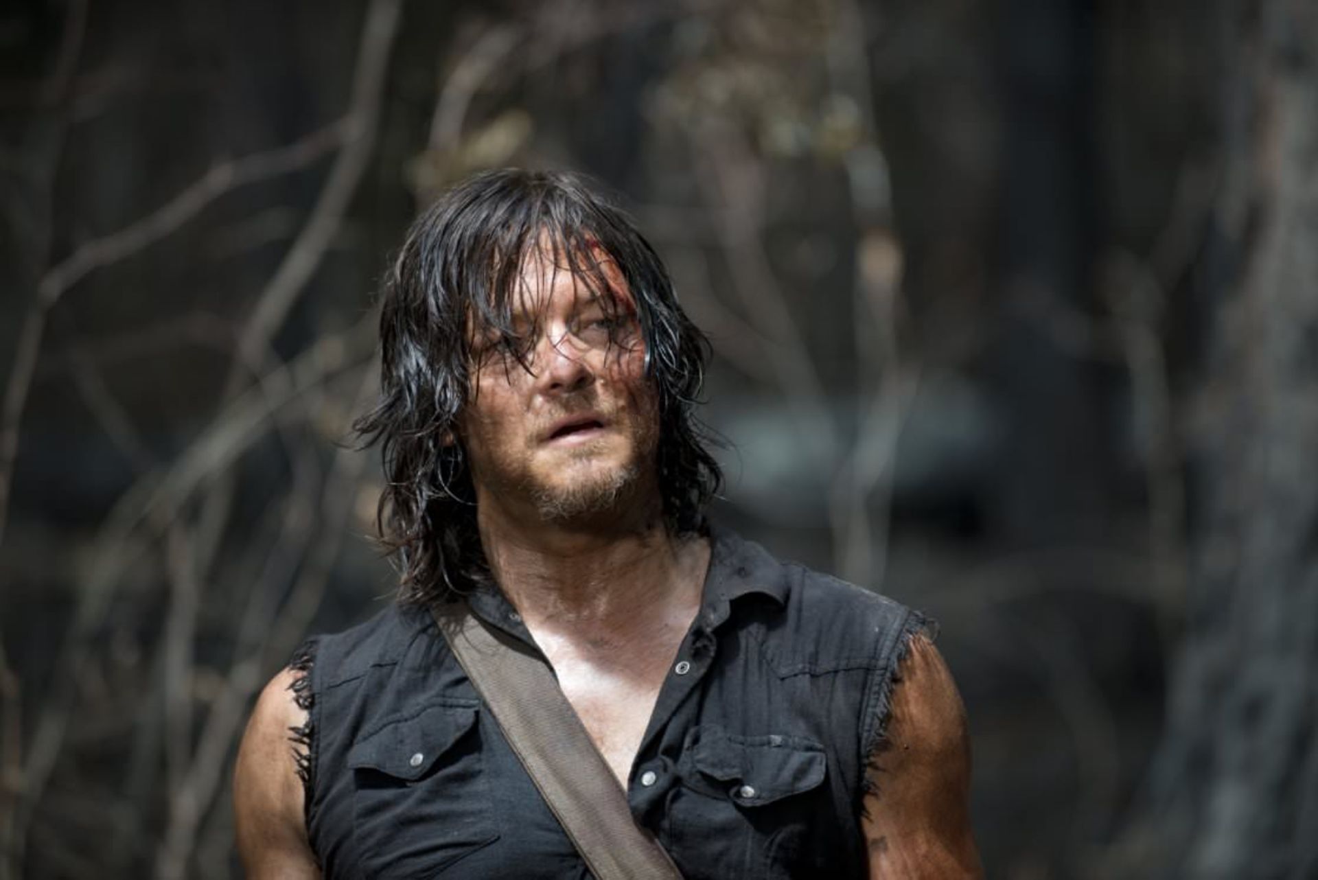 2015-11-daryl-dixwalking-dead.jpgon_