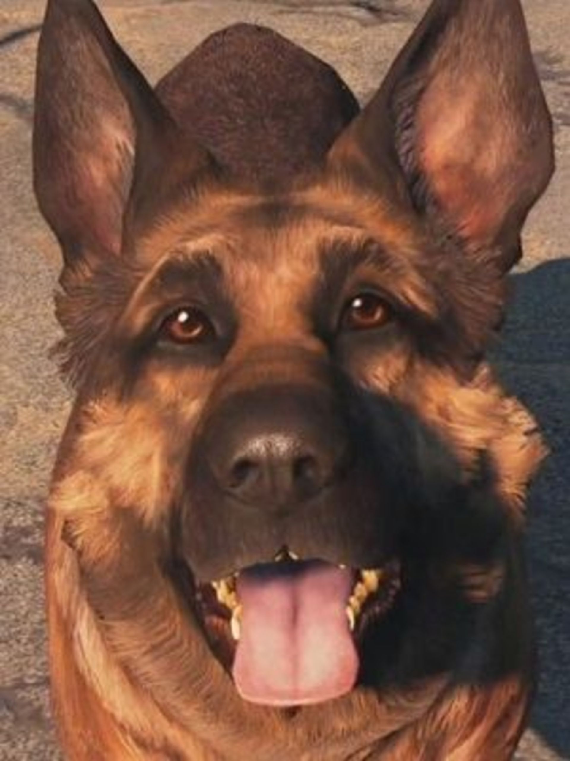 2015-12-fallout-4-dogmeat