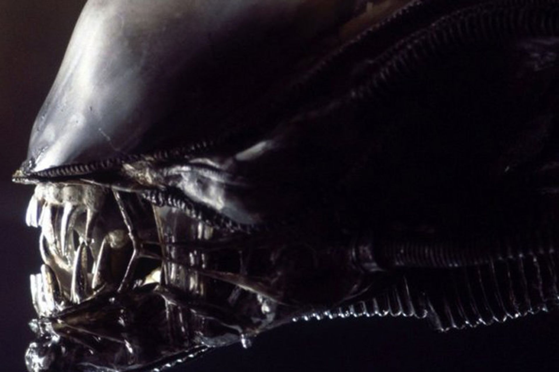 2015-12-xenomorph