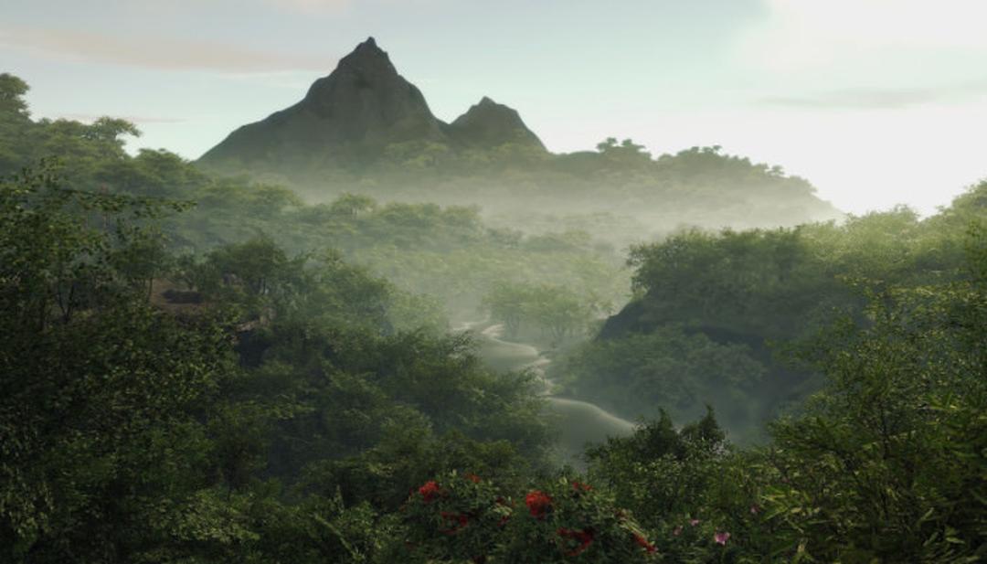 Crysis Nature View