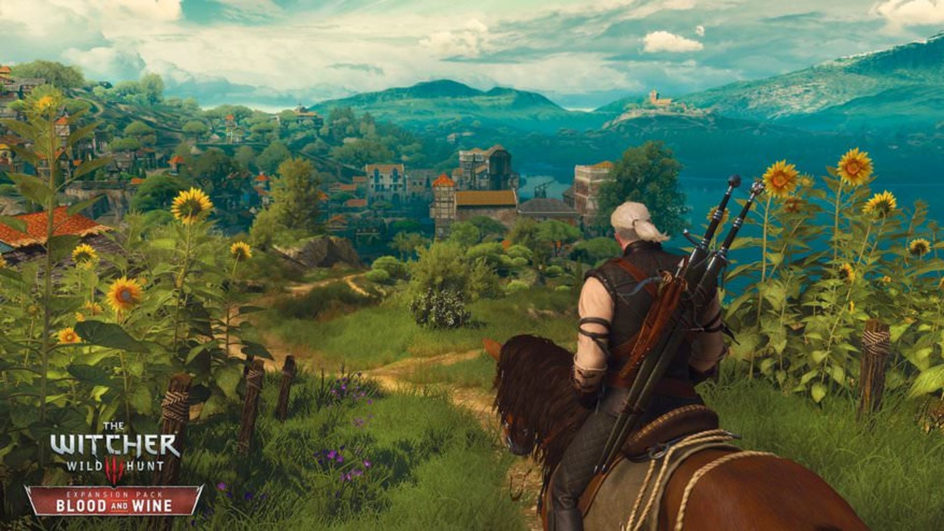 witcher 3 Blood and Wine Plain 