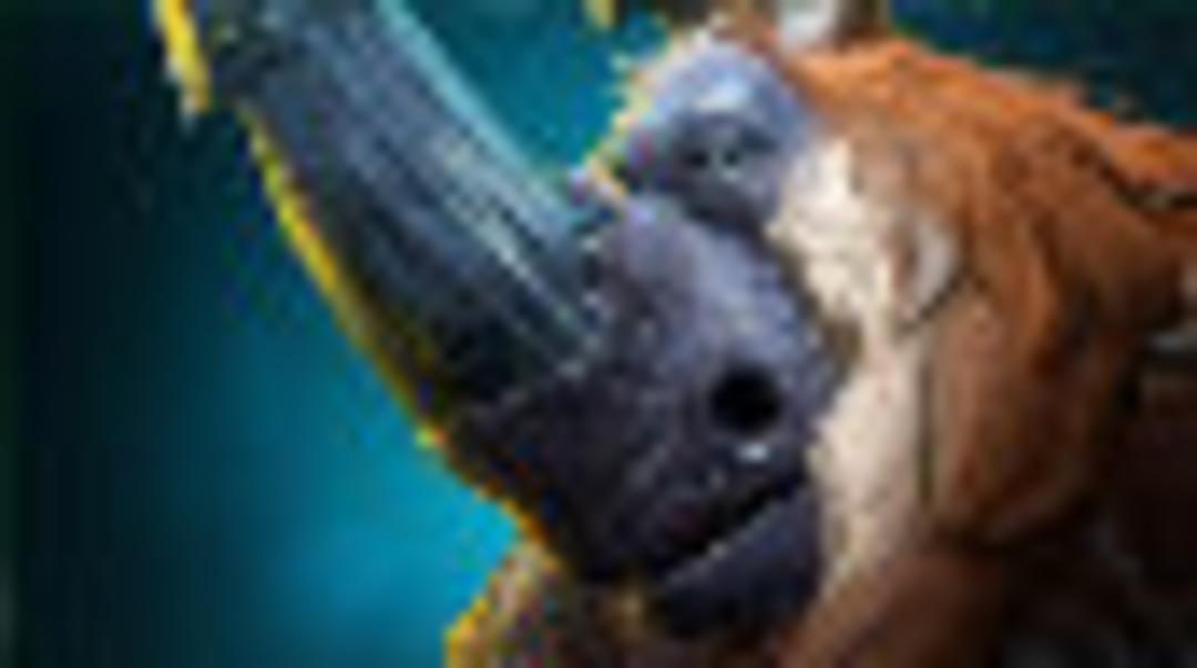 2016-04-magnus