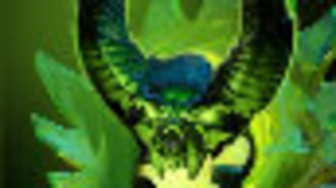 2016-04-pugna