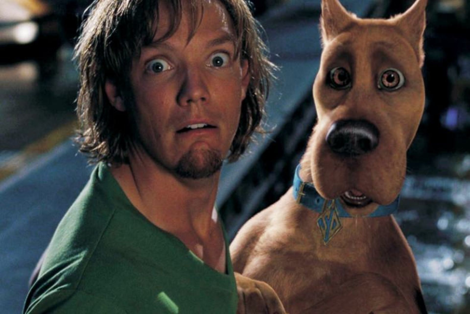 scooby doo