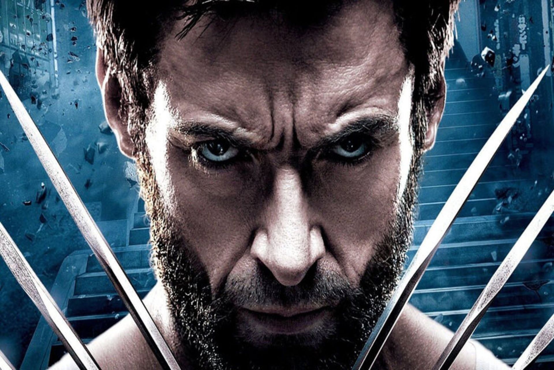 wolverine